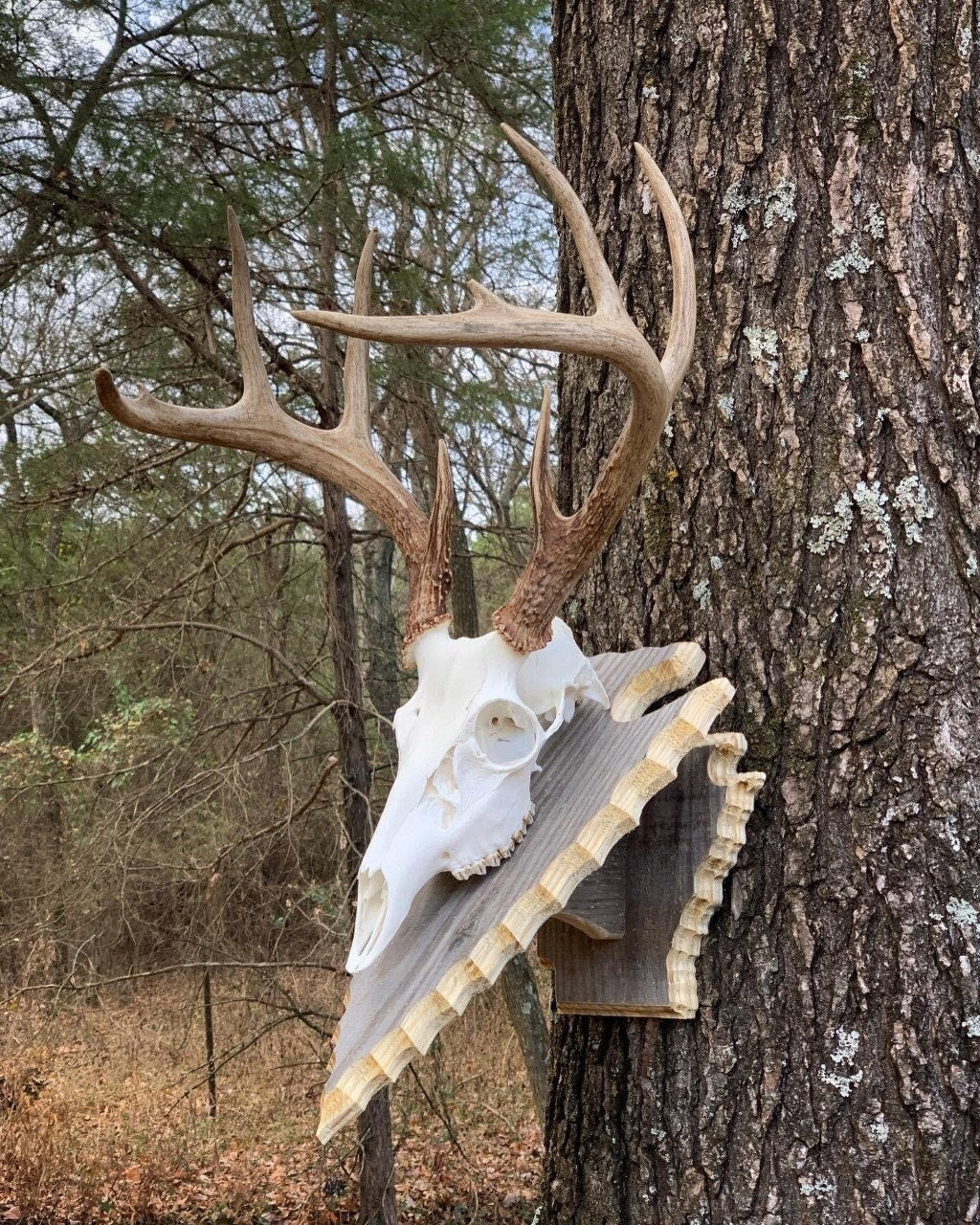 Arrowhead Pedestal (AR Back Plate) (Stained)