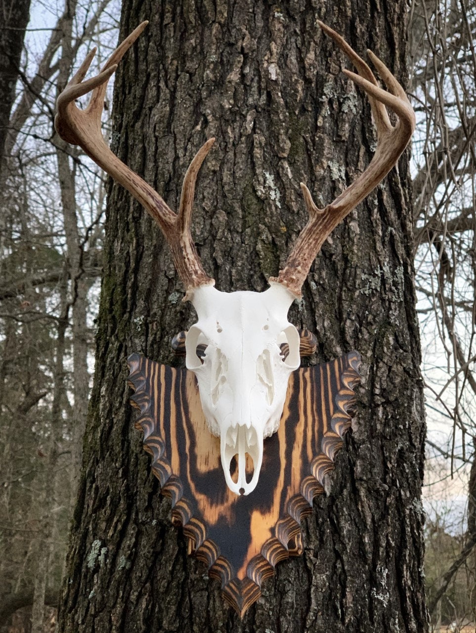 Arrowhead Pedestal (AR Back Plate) Burnt Wood