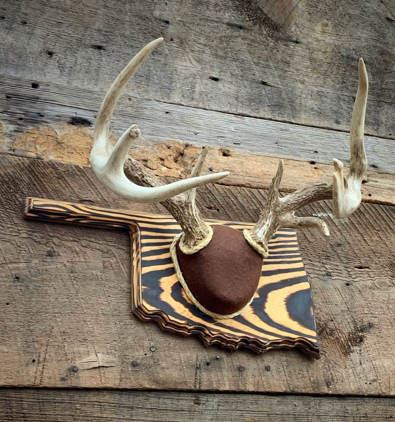 Oklahoma Antler Mounting Kit (Instructional Video) (All States Available)