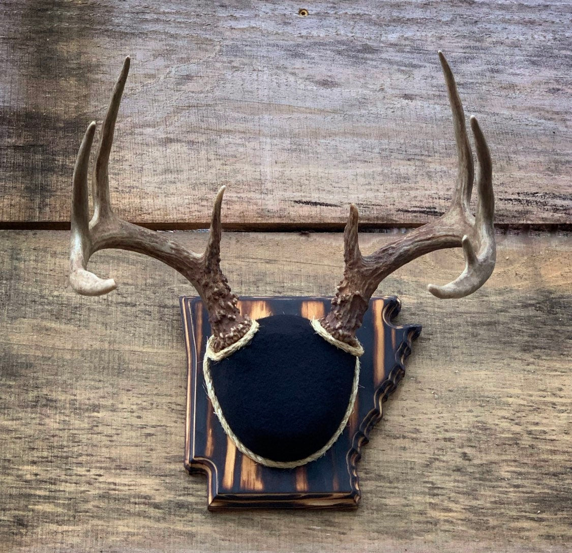 Arkansas Antler Mount Kit (Instructional Video) (All States Available)
