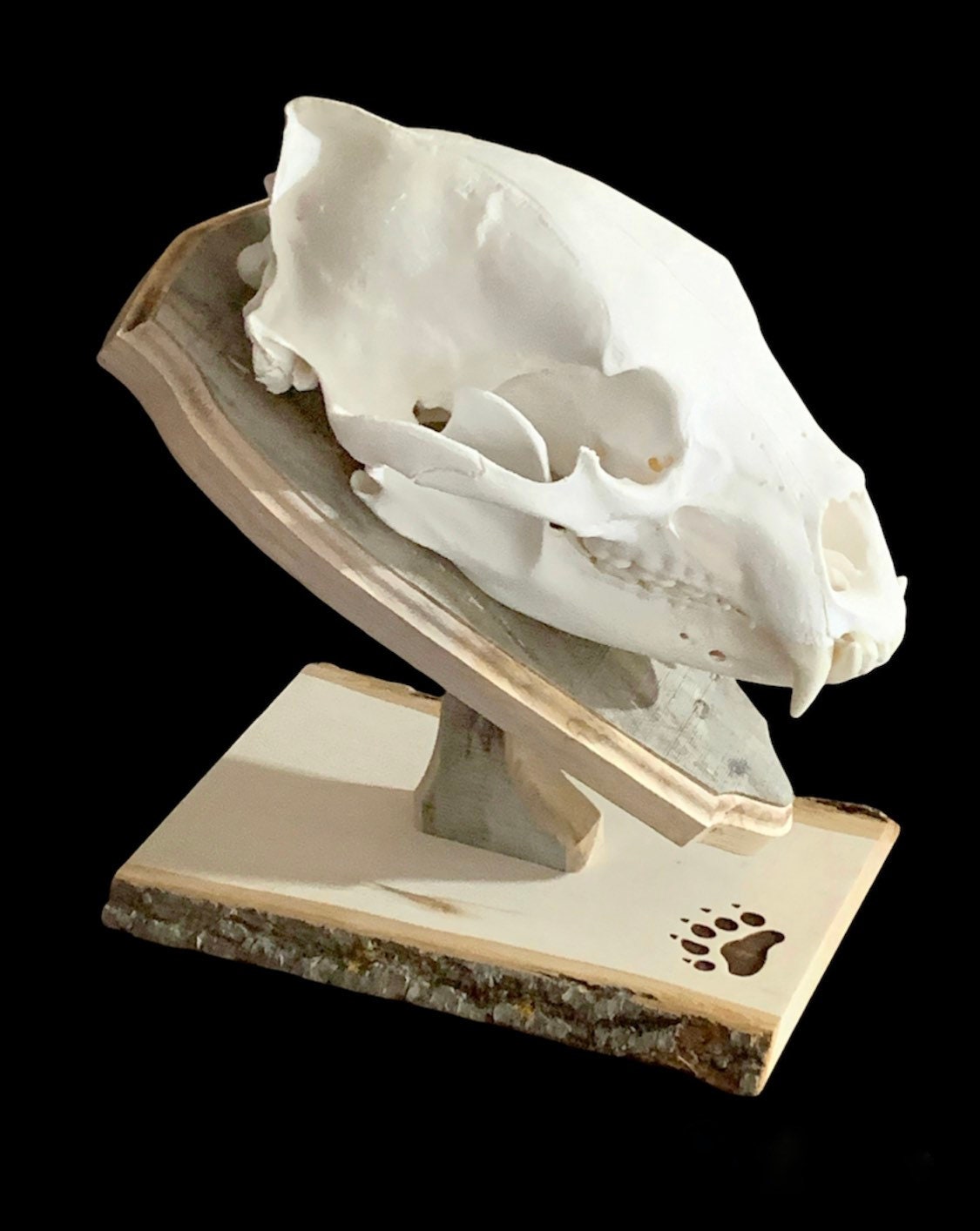 Bear Euro Mount Pedestal