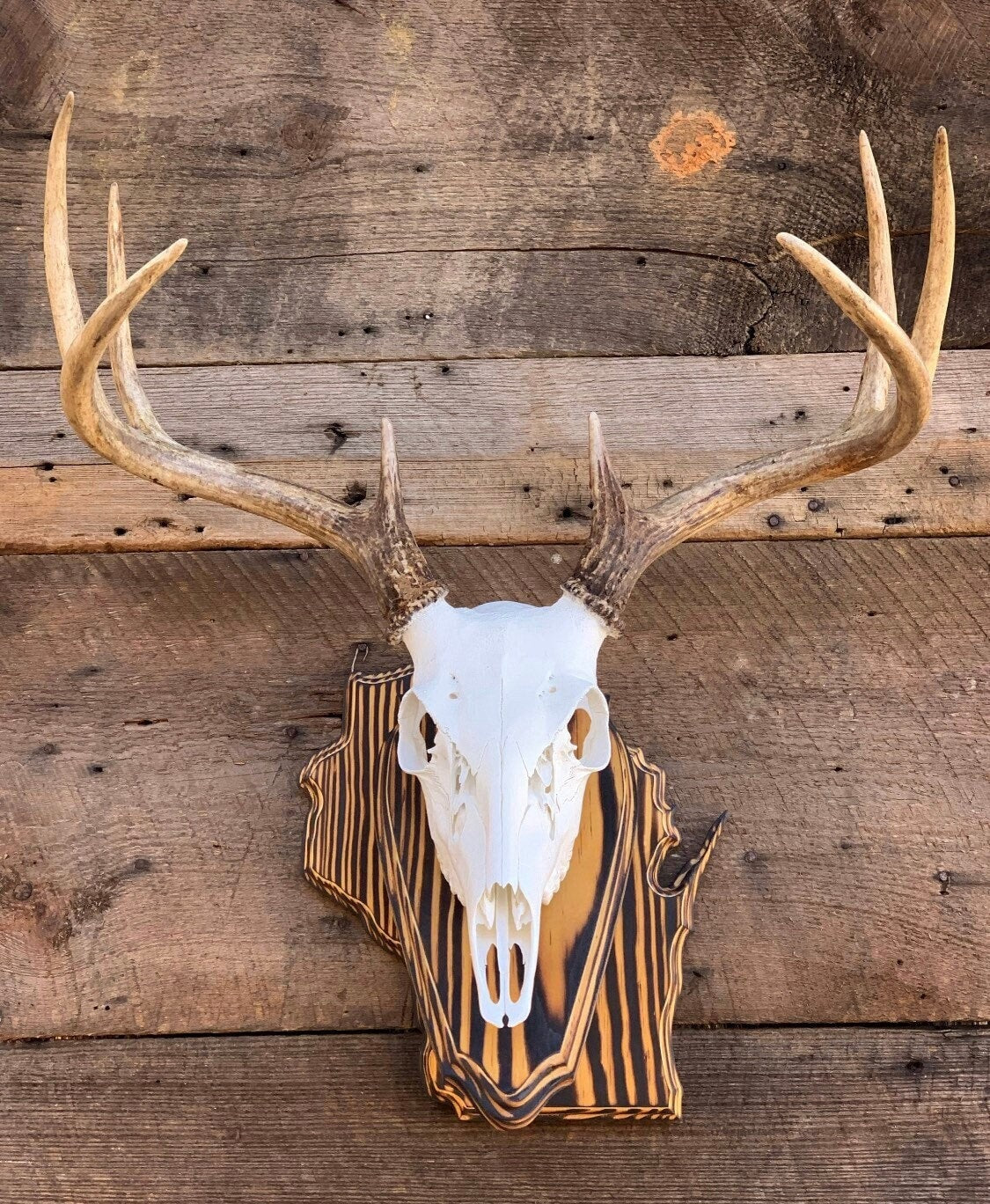 Wisconsin Wall Pedestal