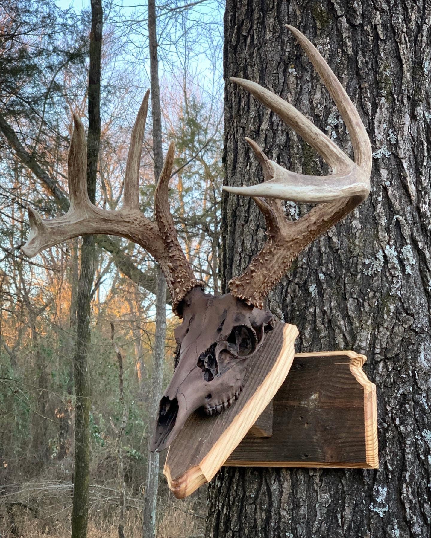 Kansas Wall Pedestal