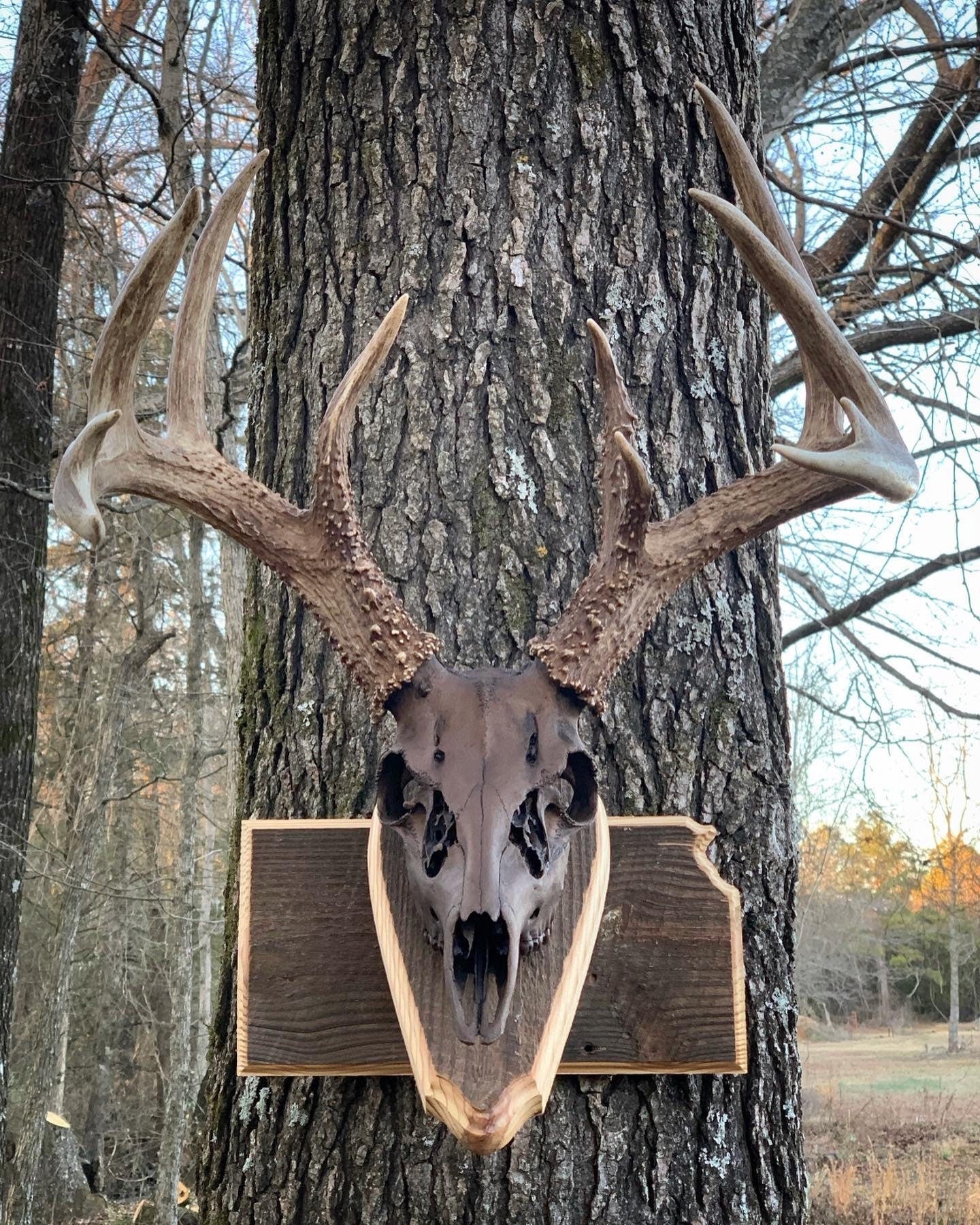 Kansas Wall Pedestal