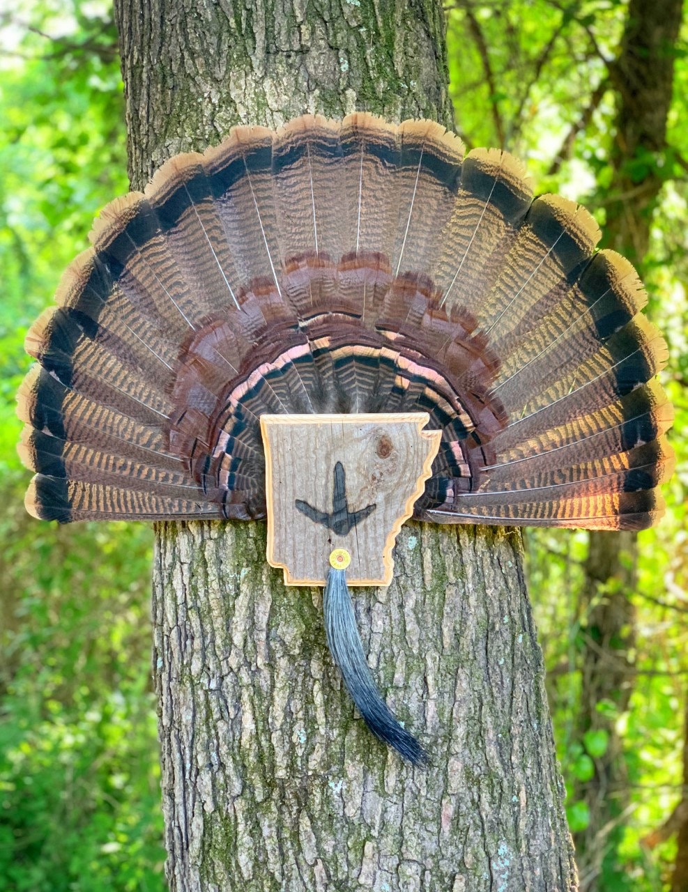 Arkansas Turkey Fan Plaque