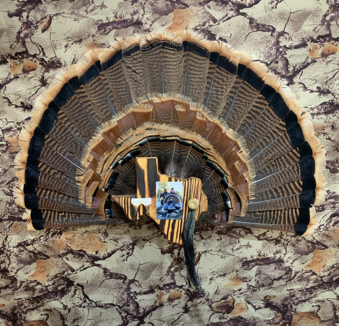 Texas Turkey Fan Plaque