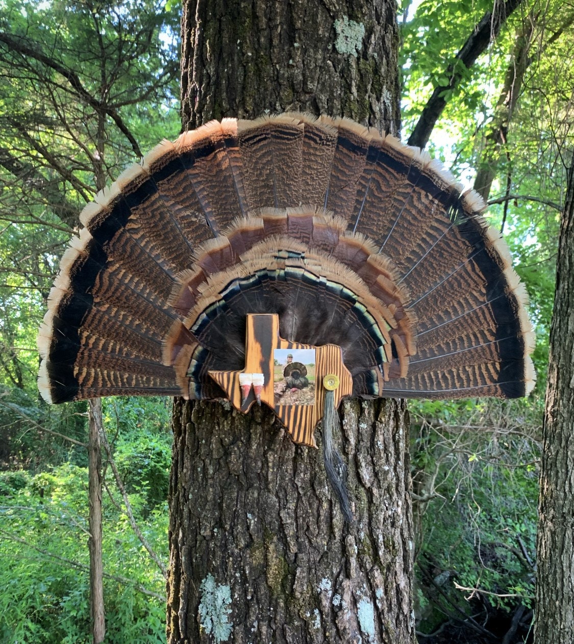 Texas Turkey Fan Plaque