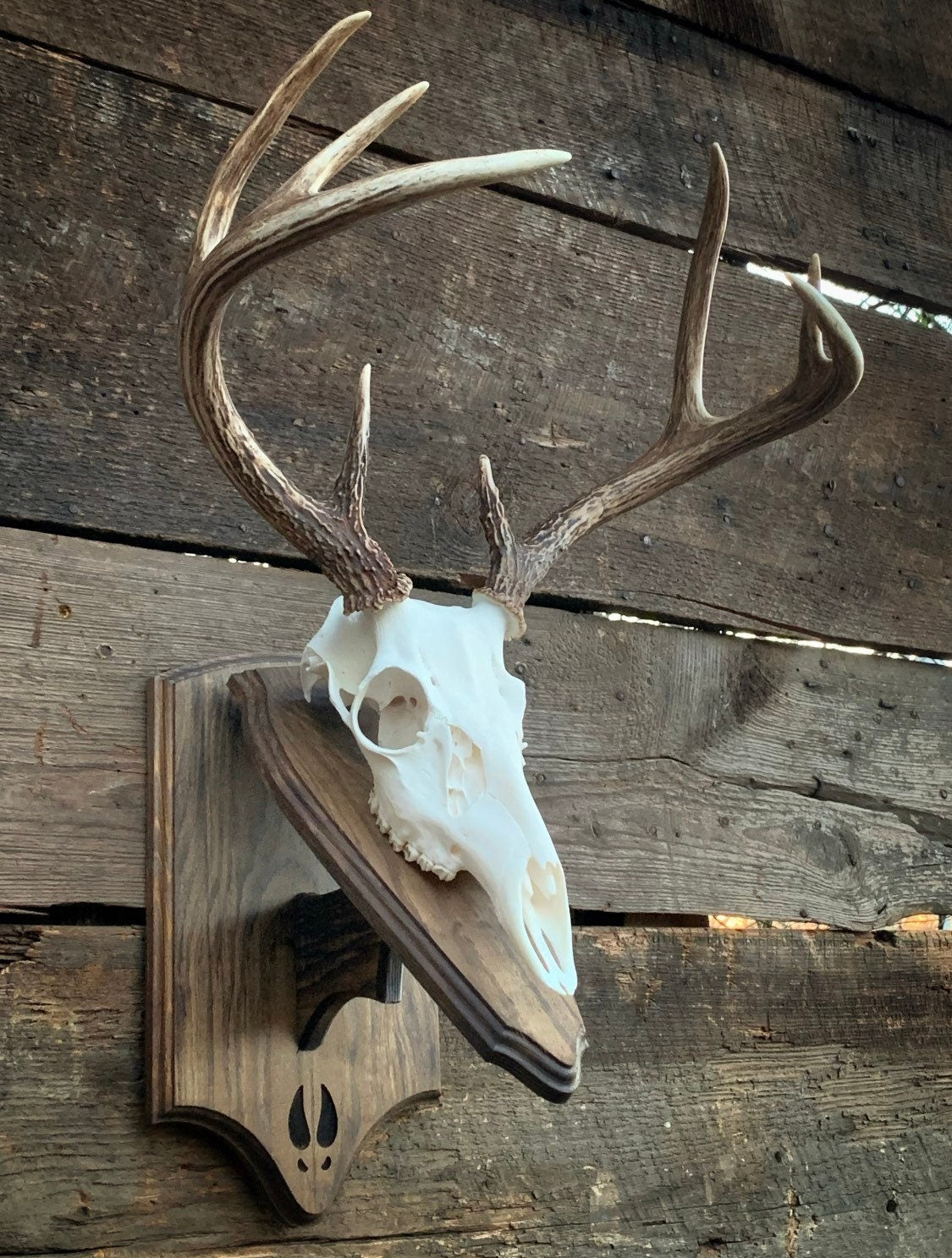 Euro Mount Pedestal