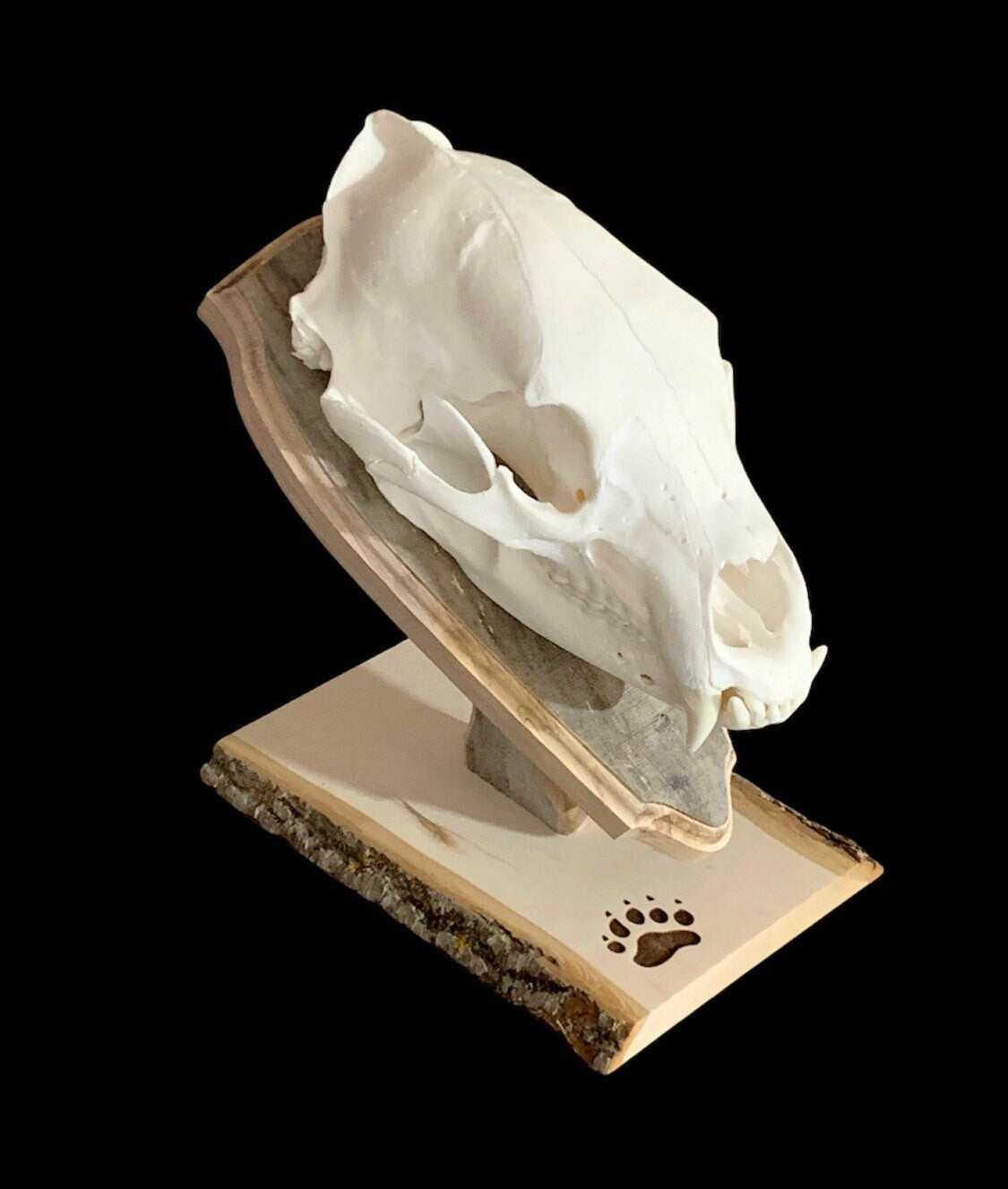 Bear Euro Mount Pedestal