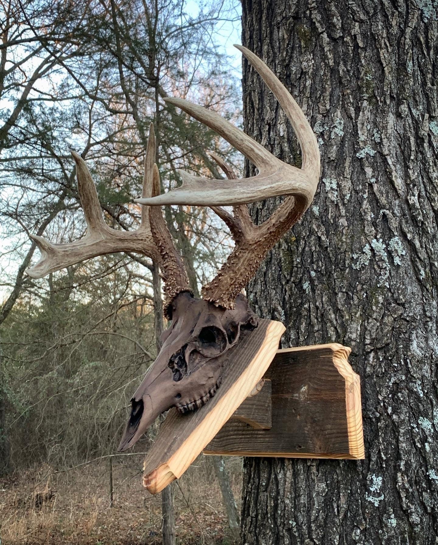 Kansas Wall Pedestal