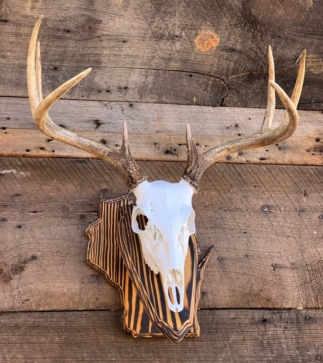 Wisconsin Wall Pedestal