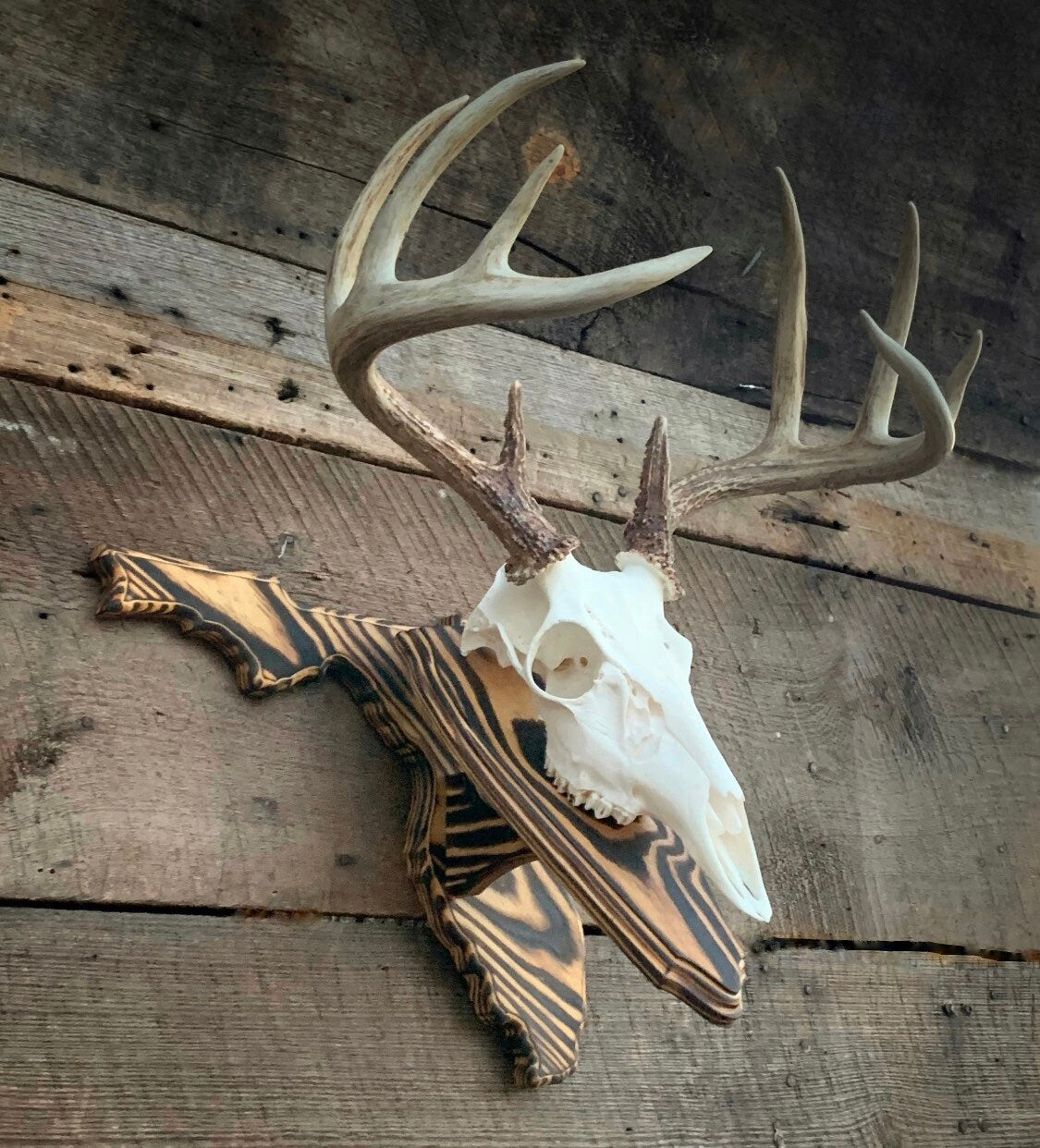 Florida Wall Pedestal