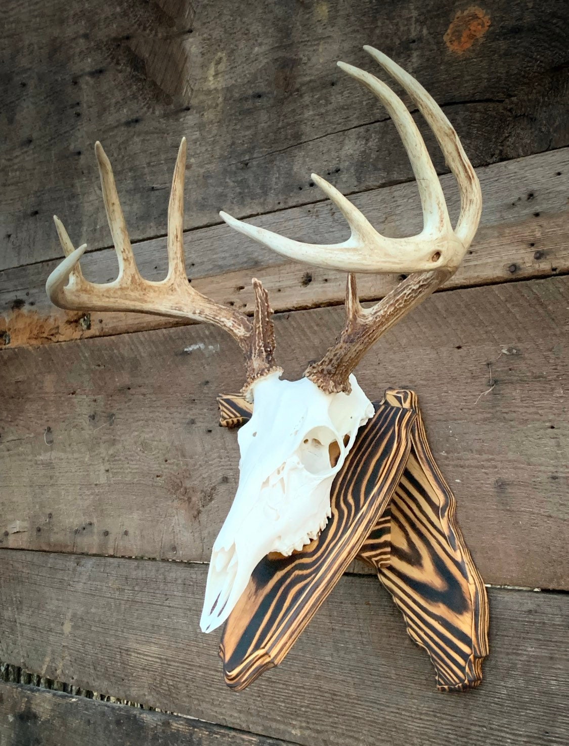 Florida Wall Pedestal