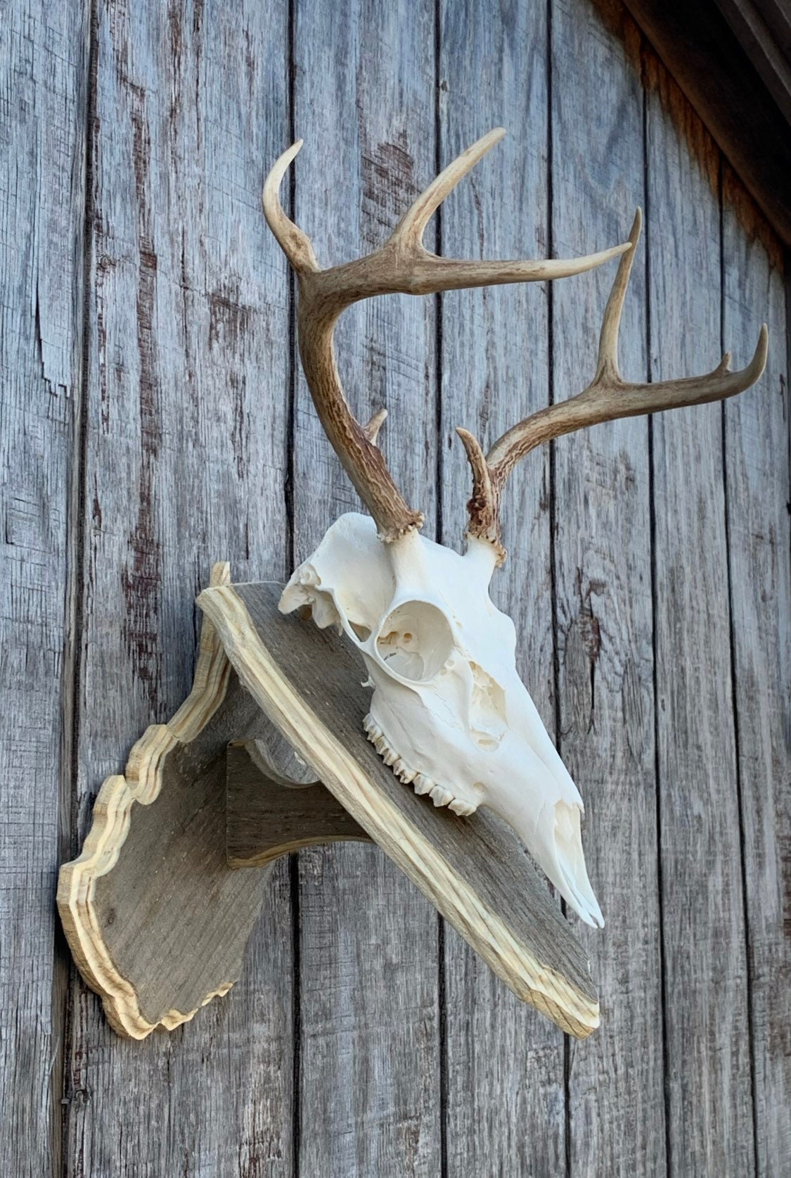 West Virginia Pedestal Plaque