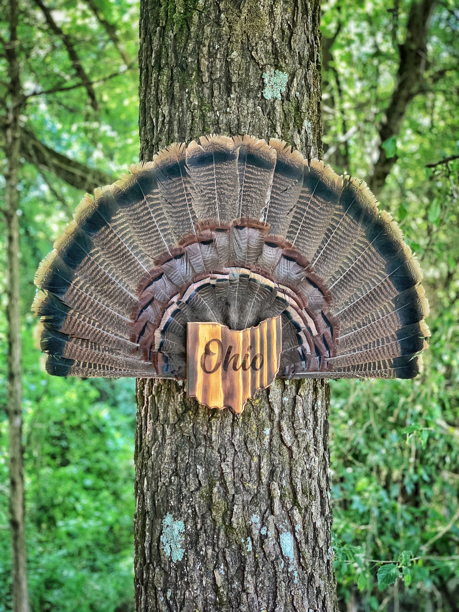 Ohio Turkey Fan Plaque