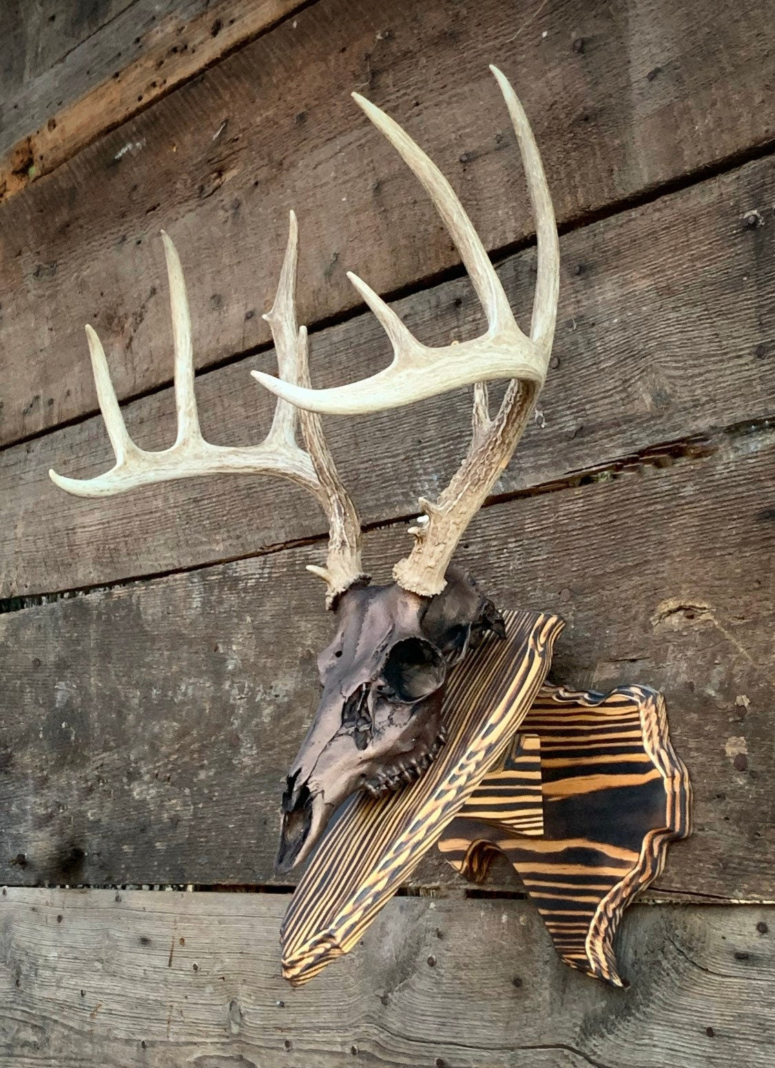 Texas Wall Pedestal