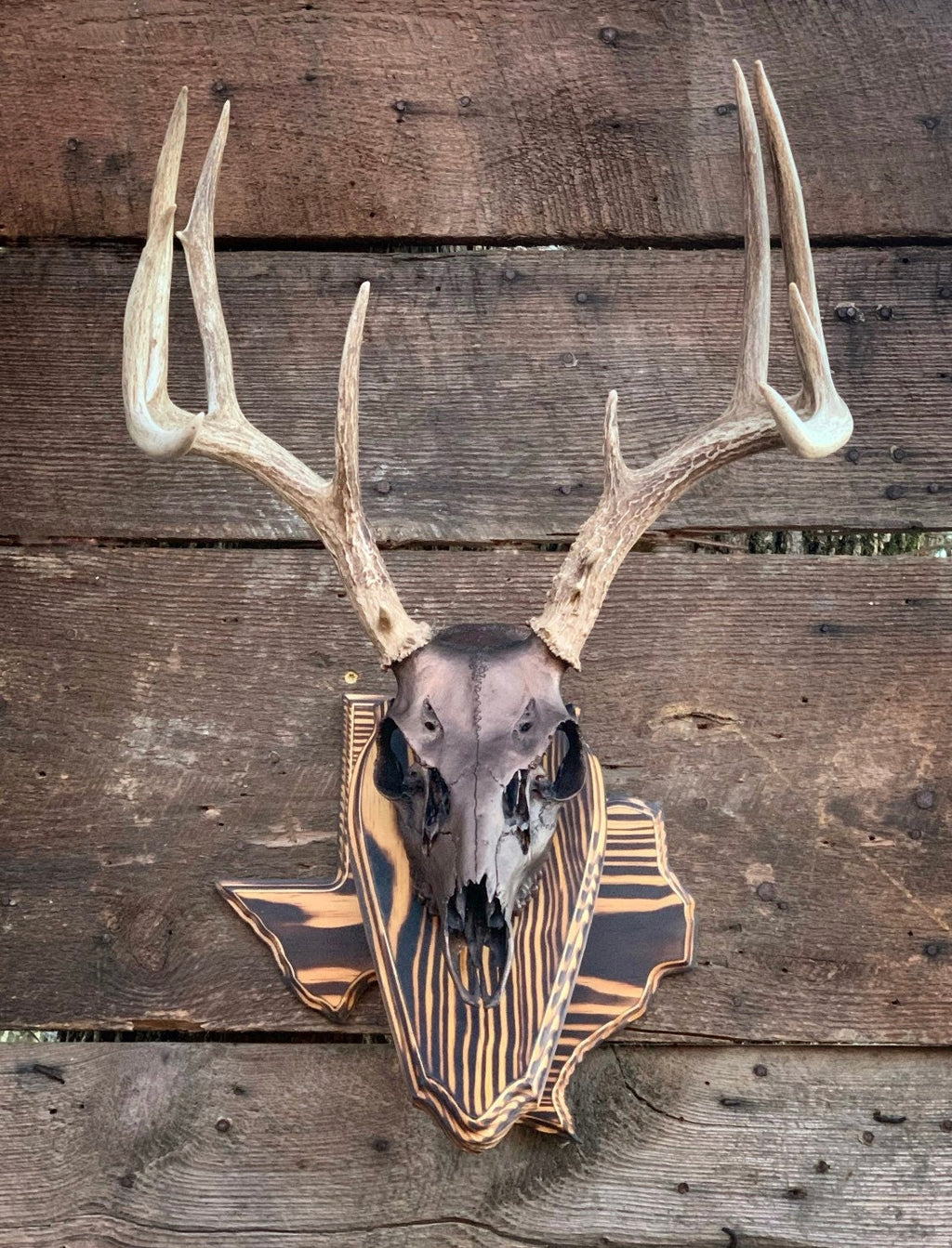 Texas Wall Pedestal