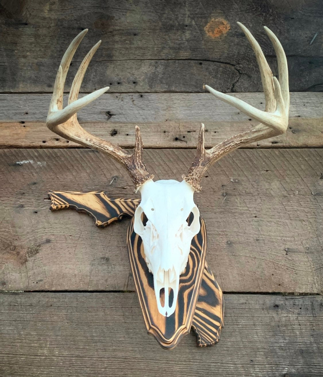 Florida Wall Pedestal