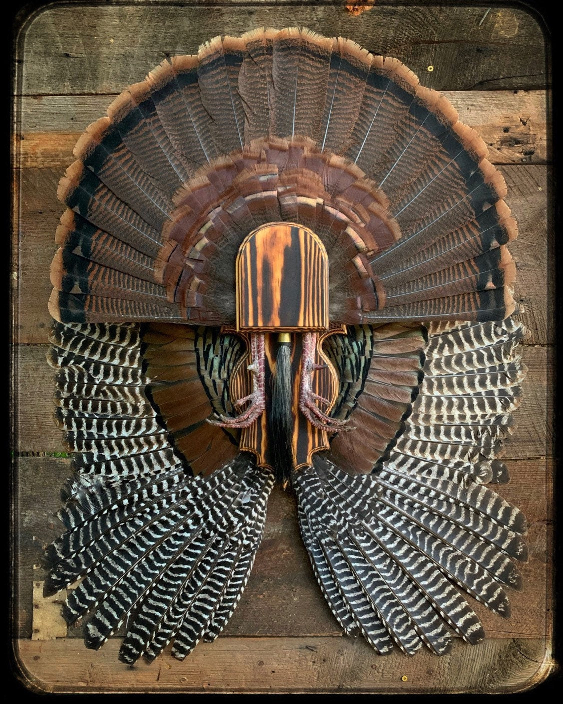 Fan and Wing Mount Plaque