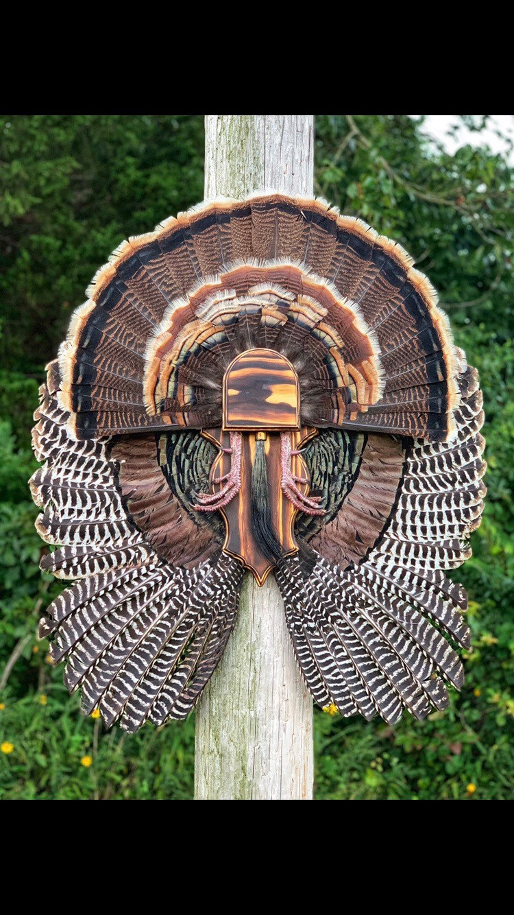 Fan and Wing Mount Plaque