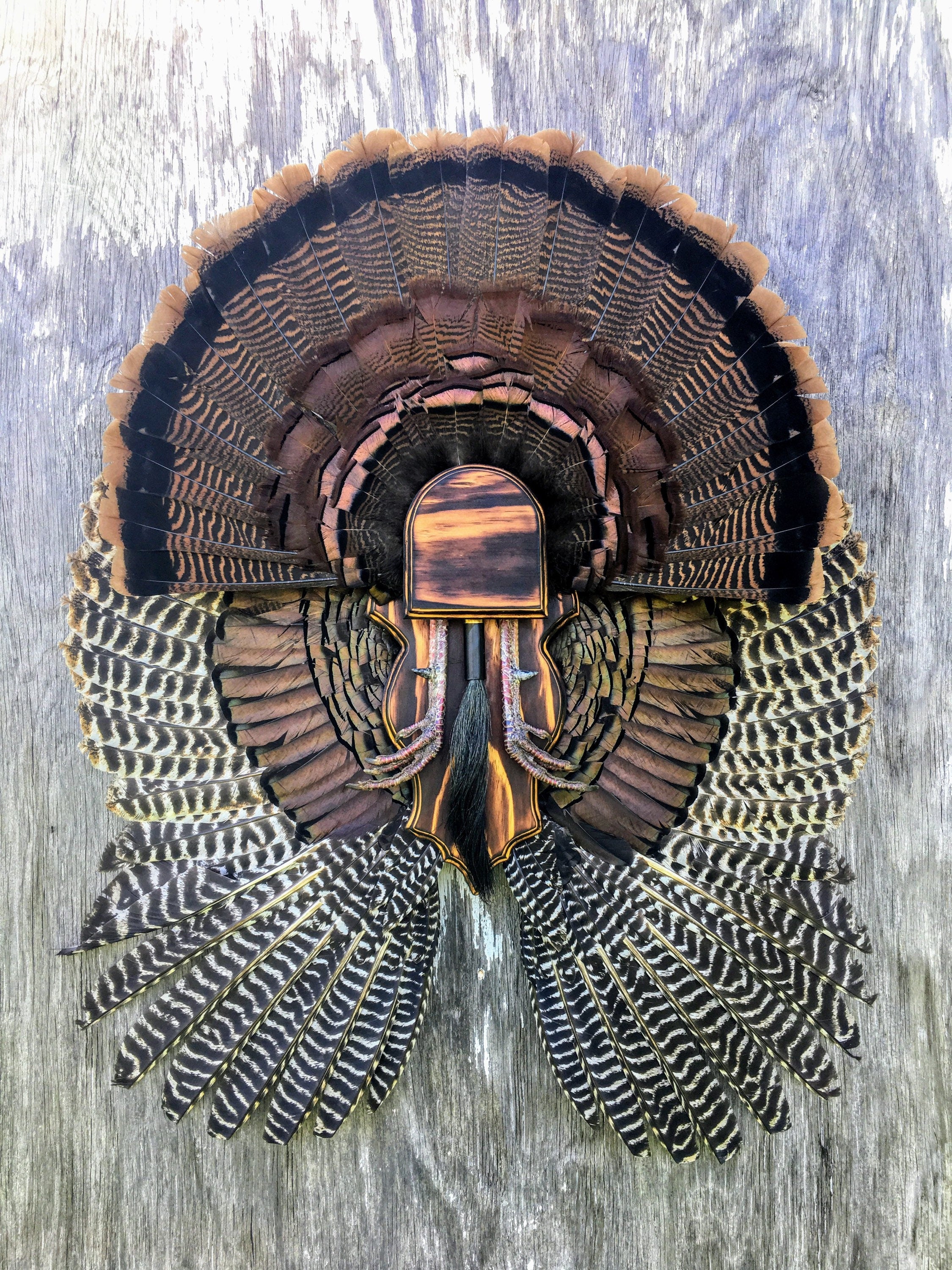 Fan and Wing Mount Plaque