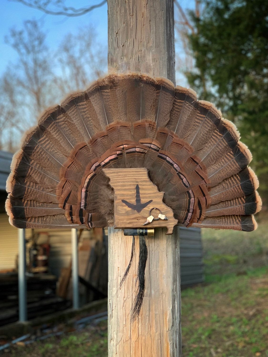 Missouri Turkey Fan Plaque