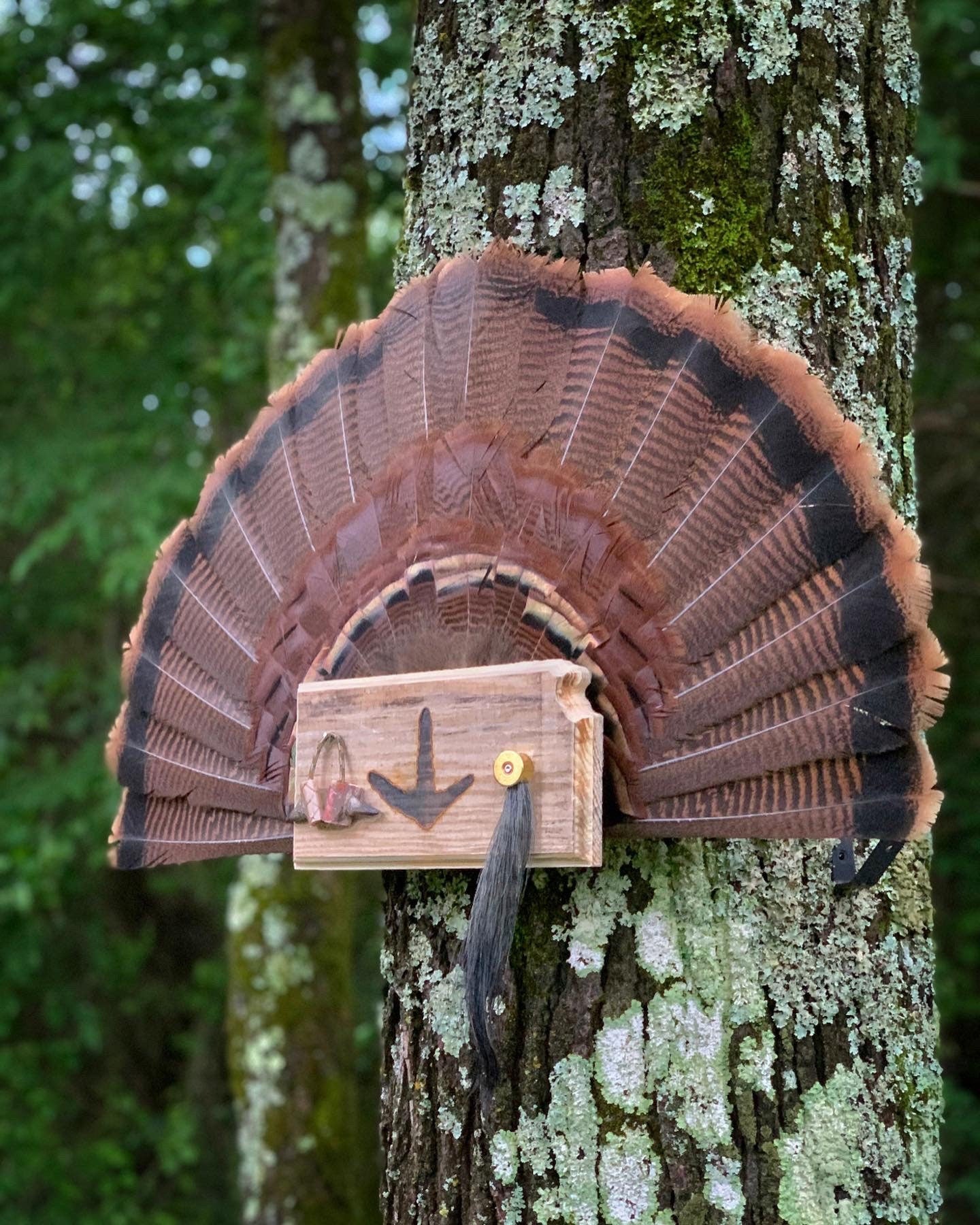 Kansas Turkey Fan Plaque