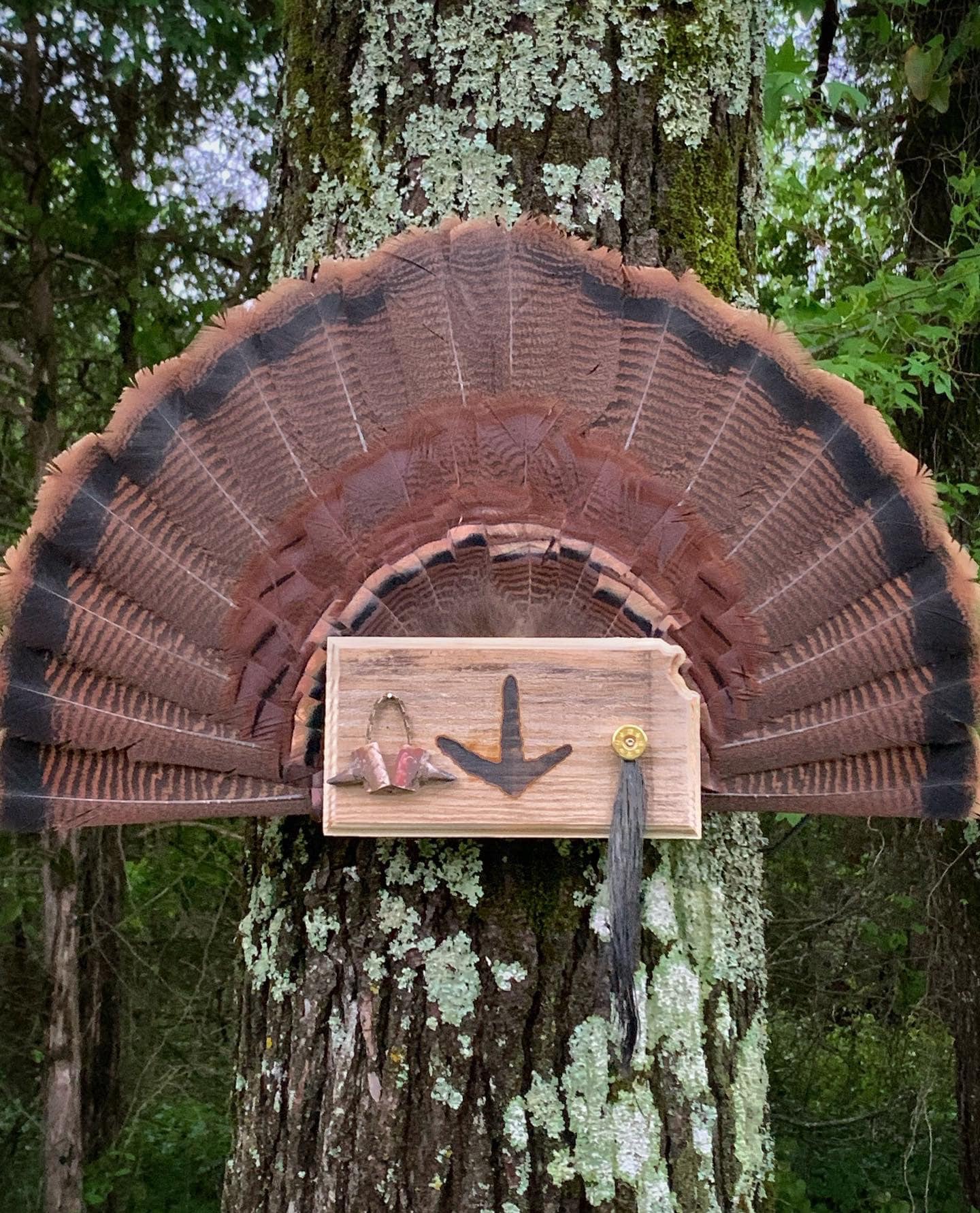 Kansas Turkey Fan Plaque