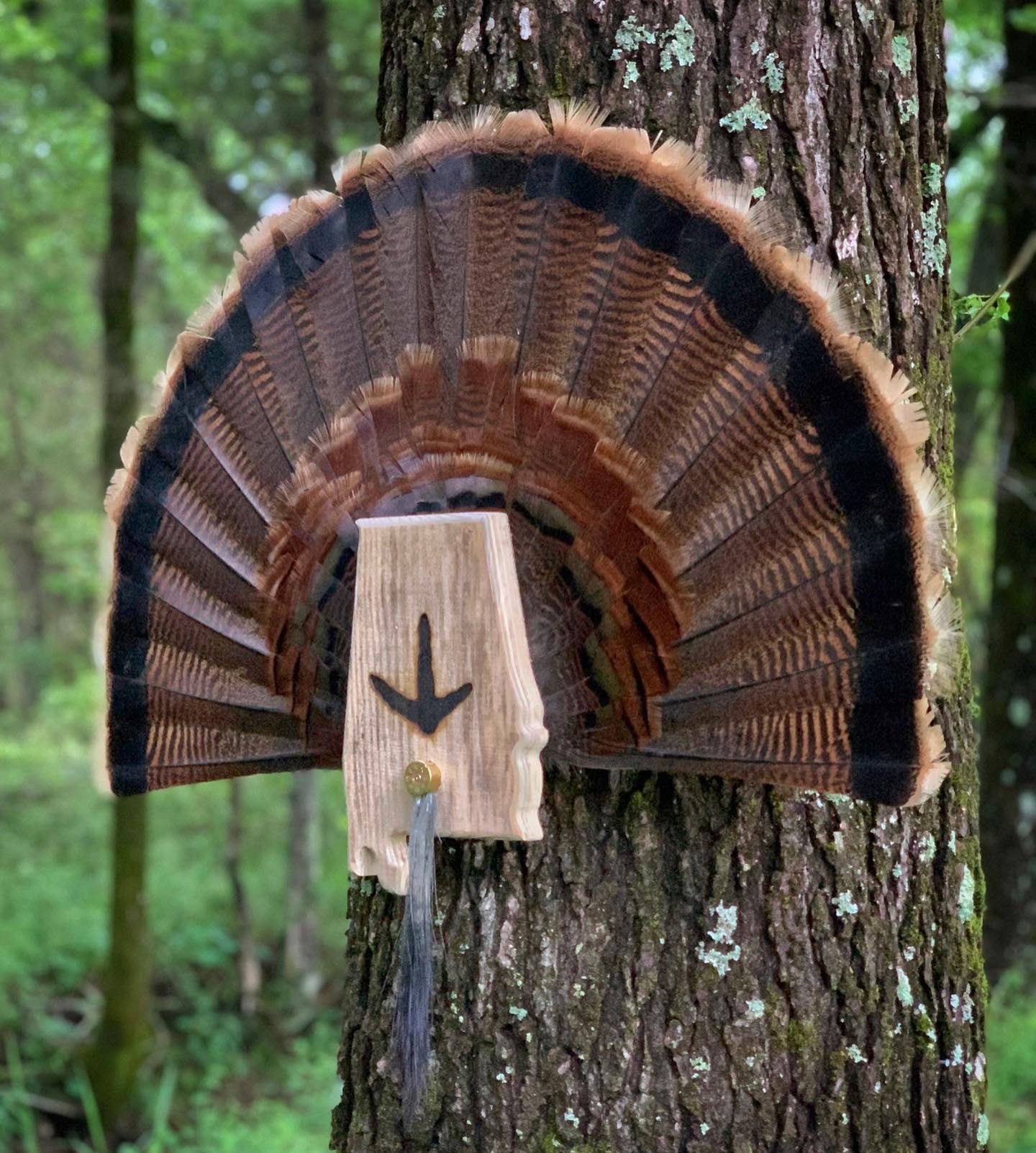 Alabama Turkey Fan Plaque