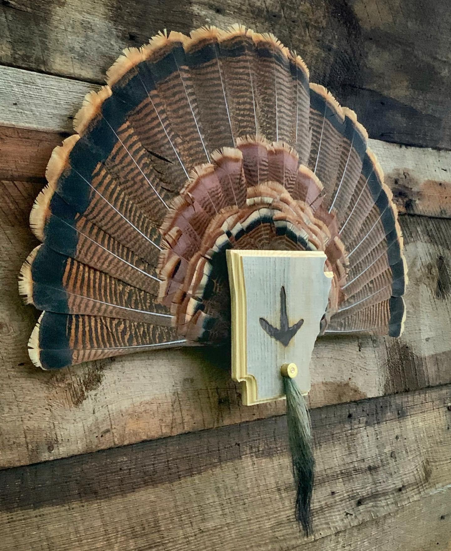 Arkansas Turkey Fan Plaque