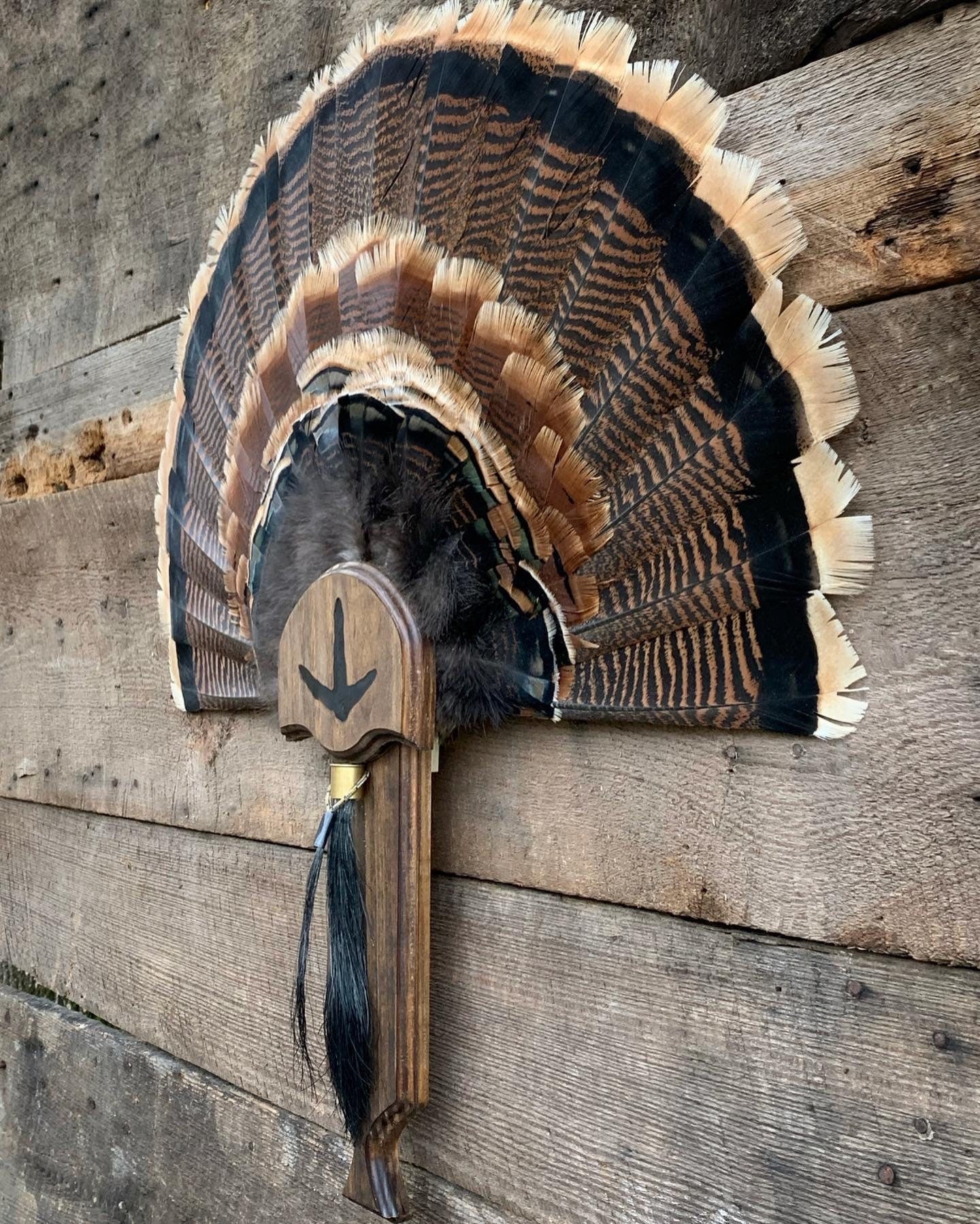 Turkey Fan Plaque (Box Call) (Darker Stain)