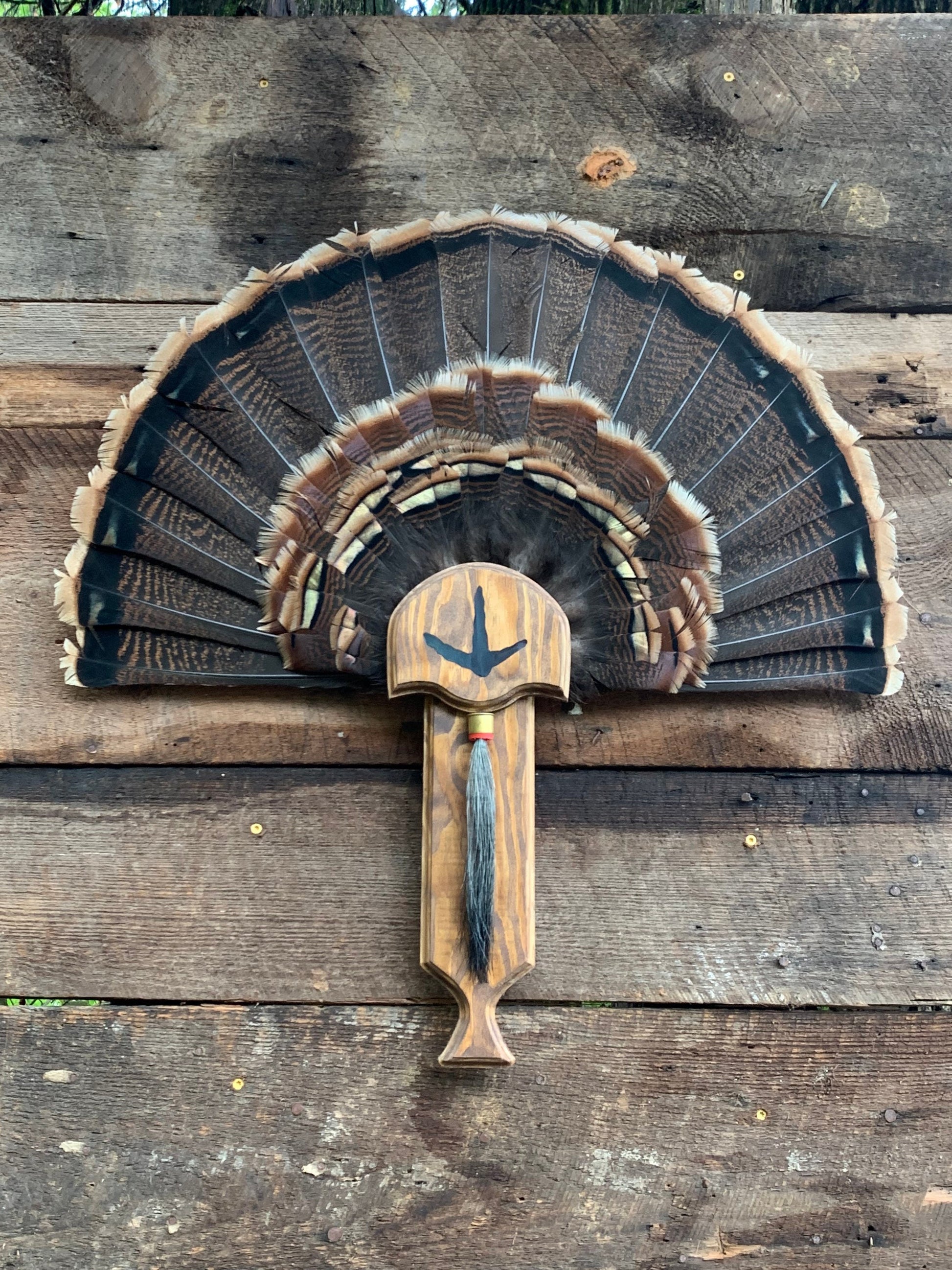 Turkey Fan Plaque (Box Call) (Darker Stain)