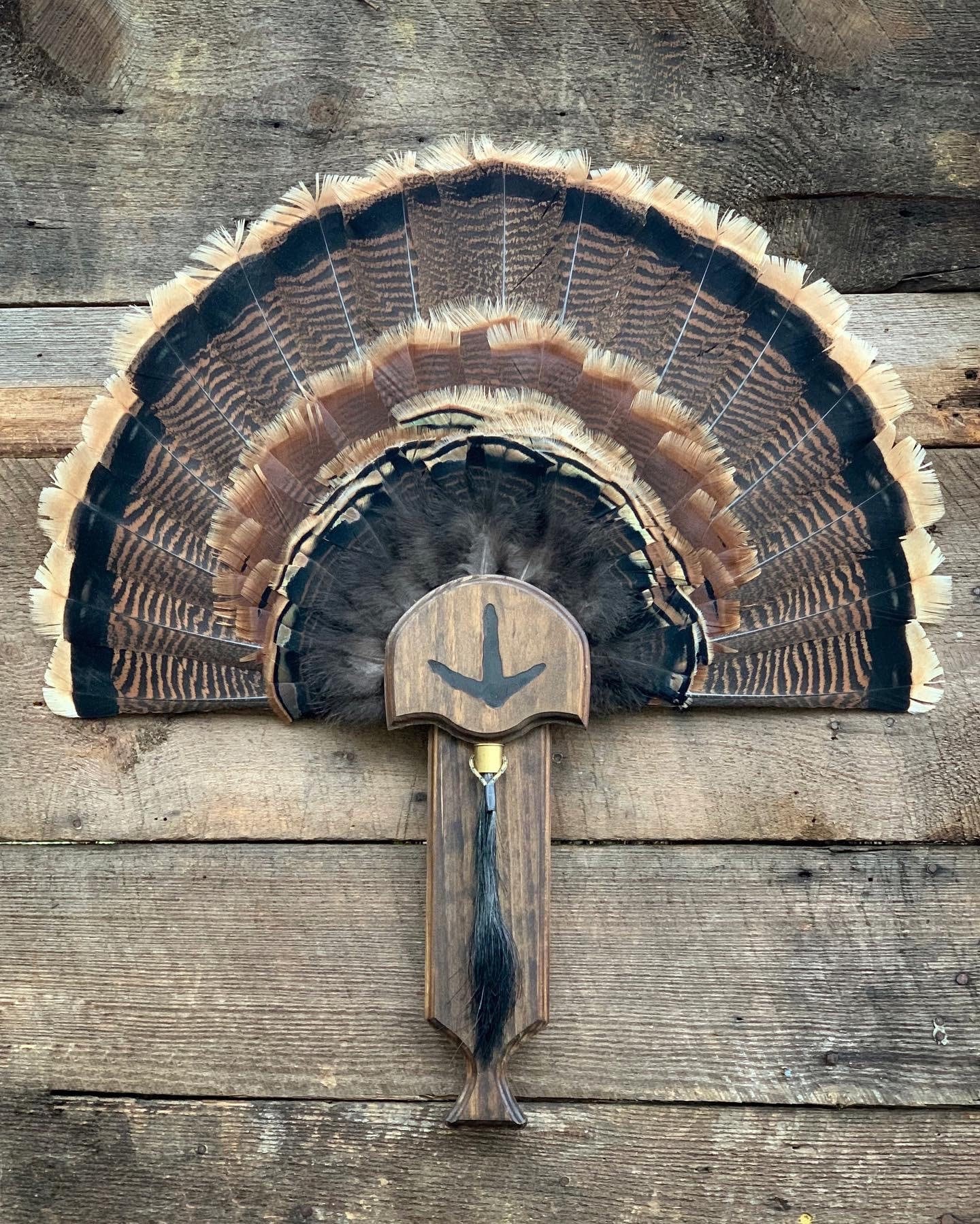 Turkey Fan Plaque (Box Call) (Darker Stain)