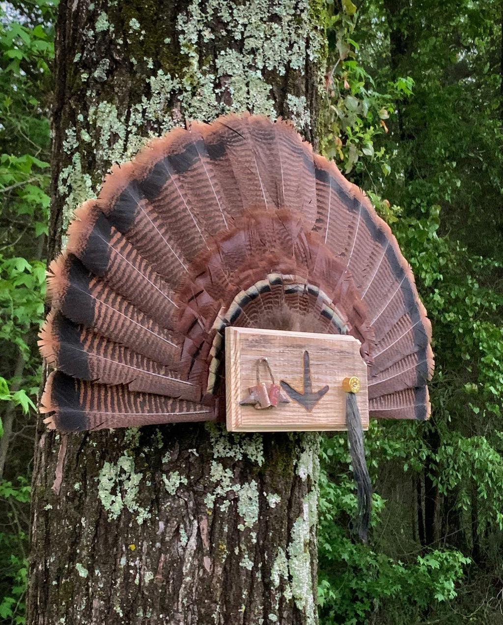 Kansas Turkey Fan Plaque