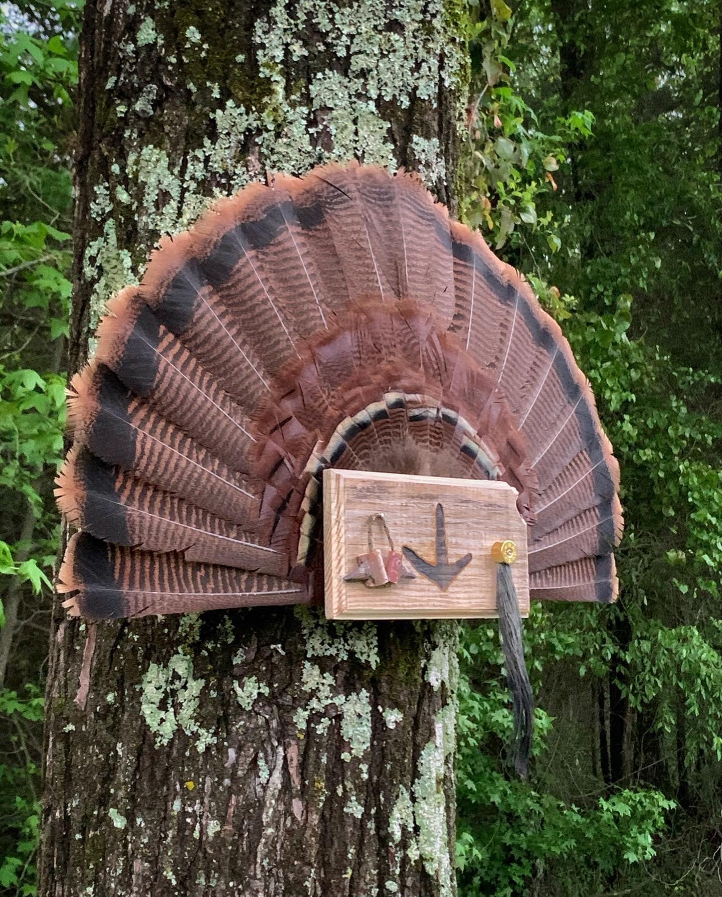 Kansas Turkey Fan Plaque