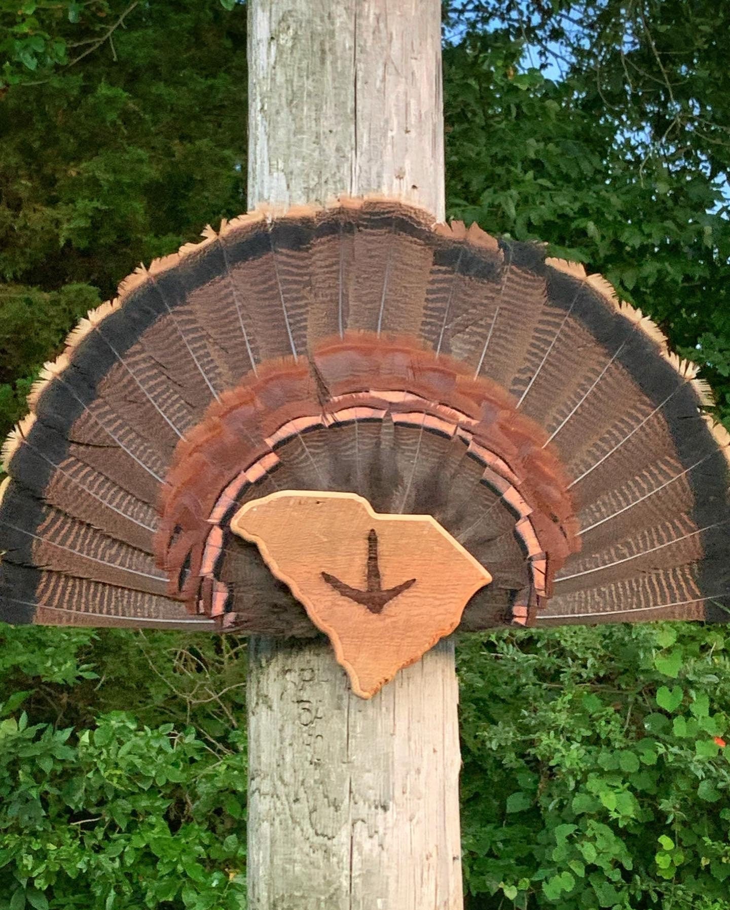 South Carolina Turkey Fan Plaque