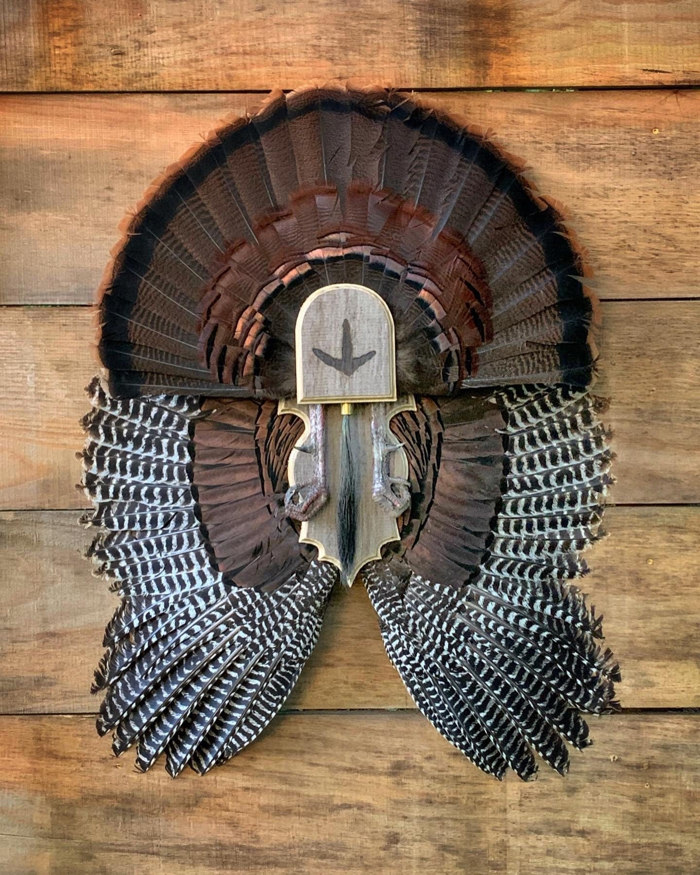 Turkey Rug Mount Barnwood Turkey Fan Plaque – TDT Mounts