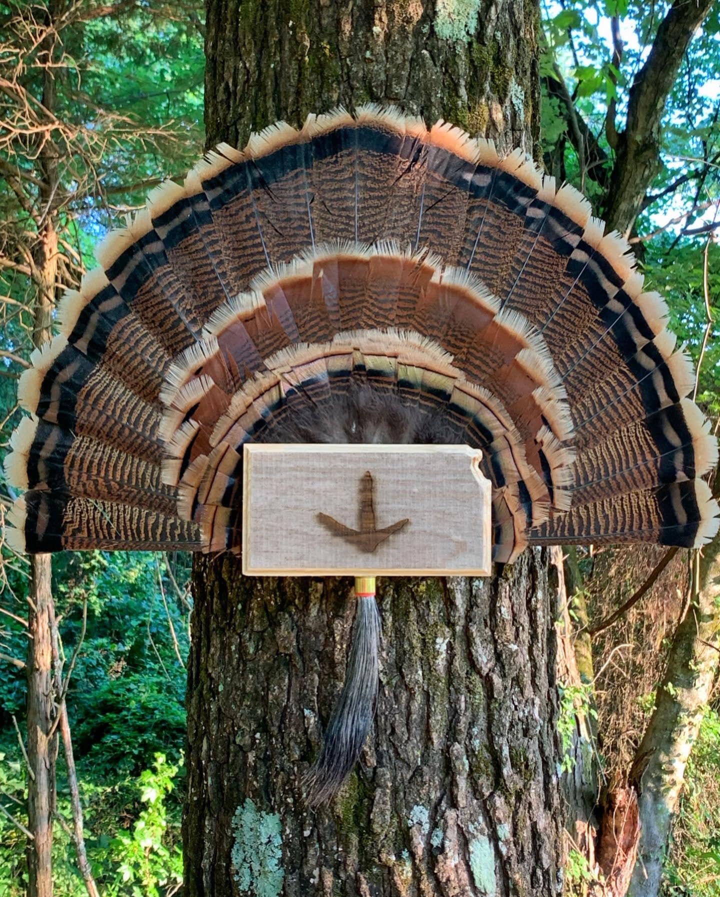 Kansas Turkey Fan Plaque