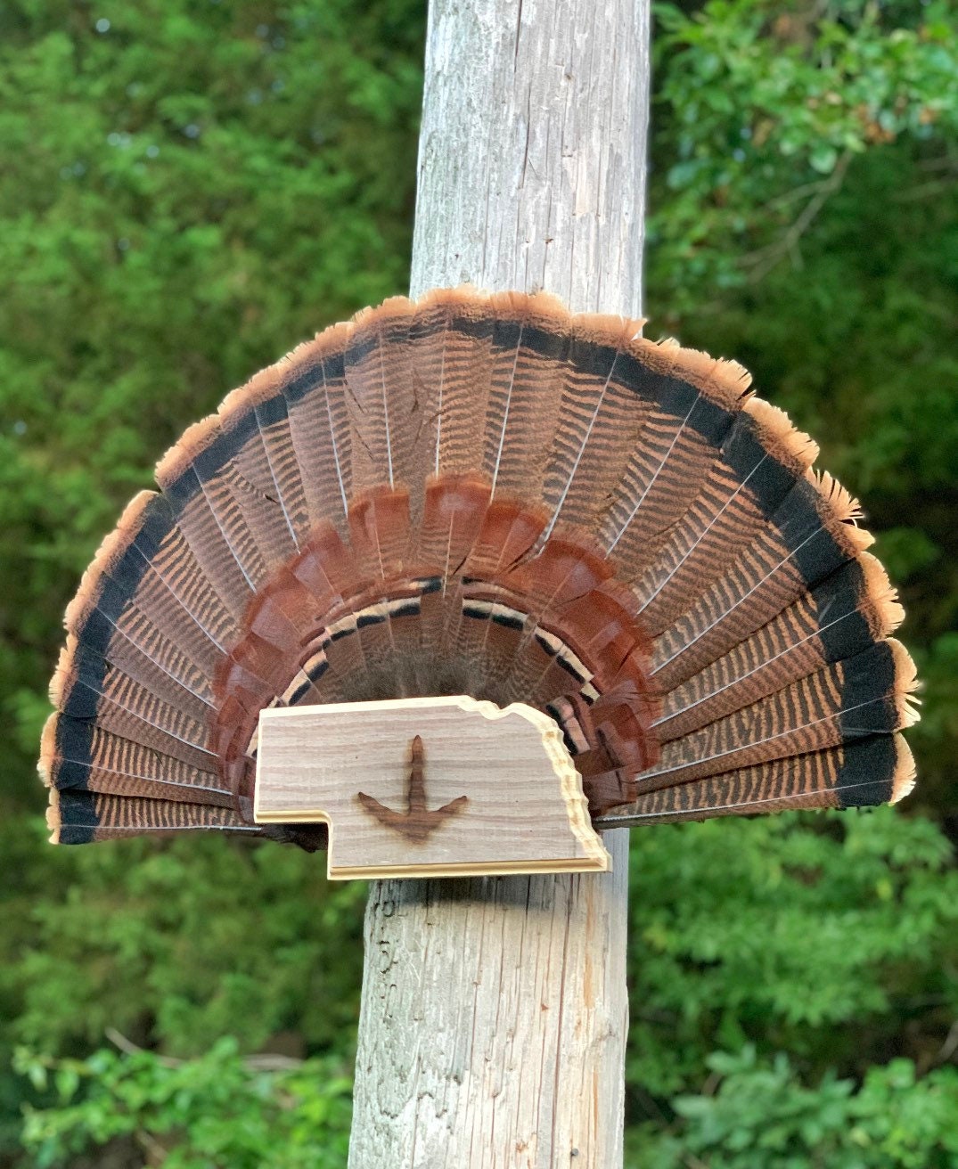 Nebraska Turkey Fan Plaque