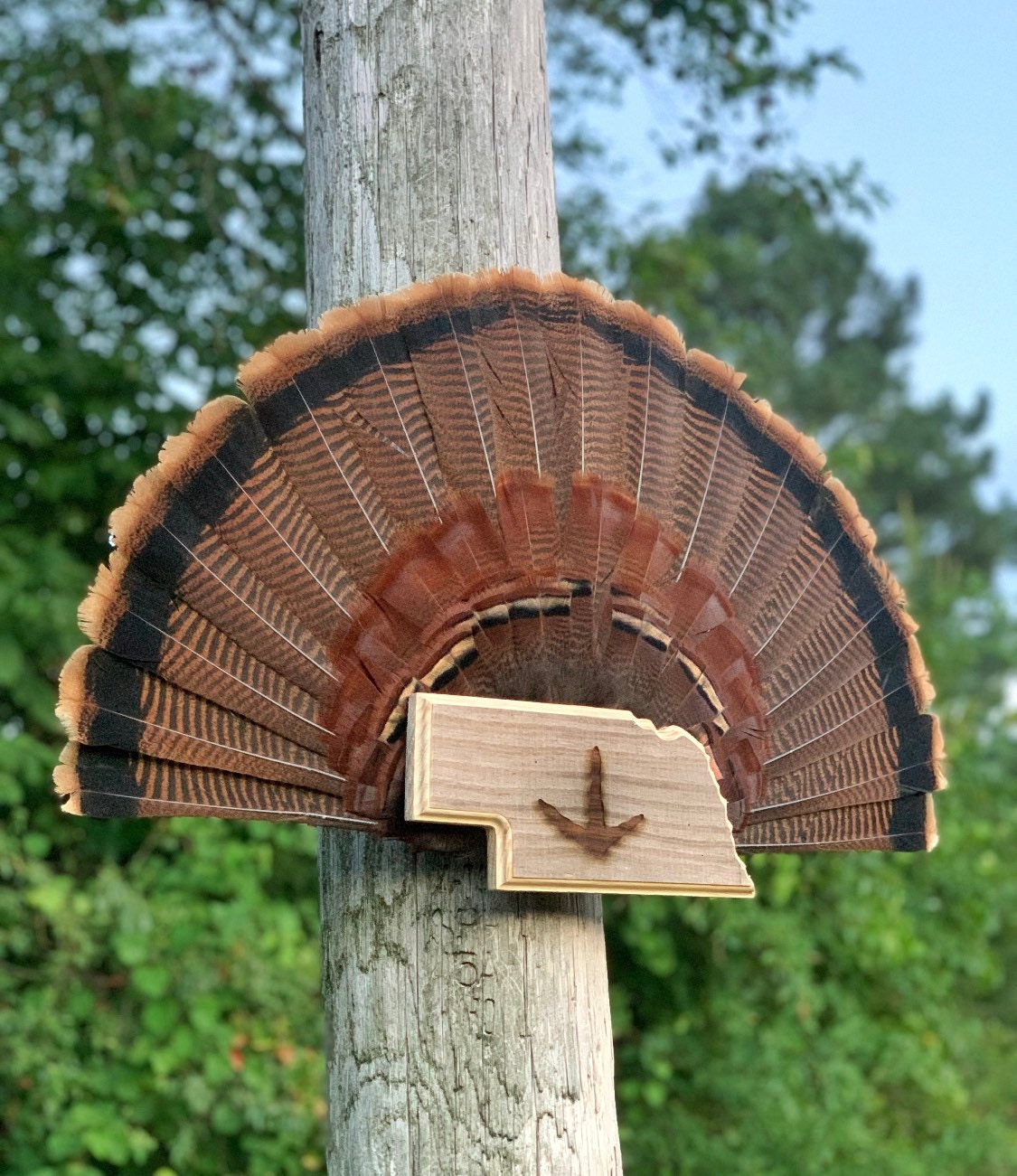 Nebraska Turkey Fan Plaque