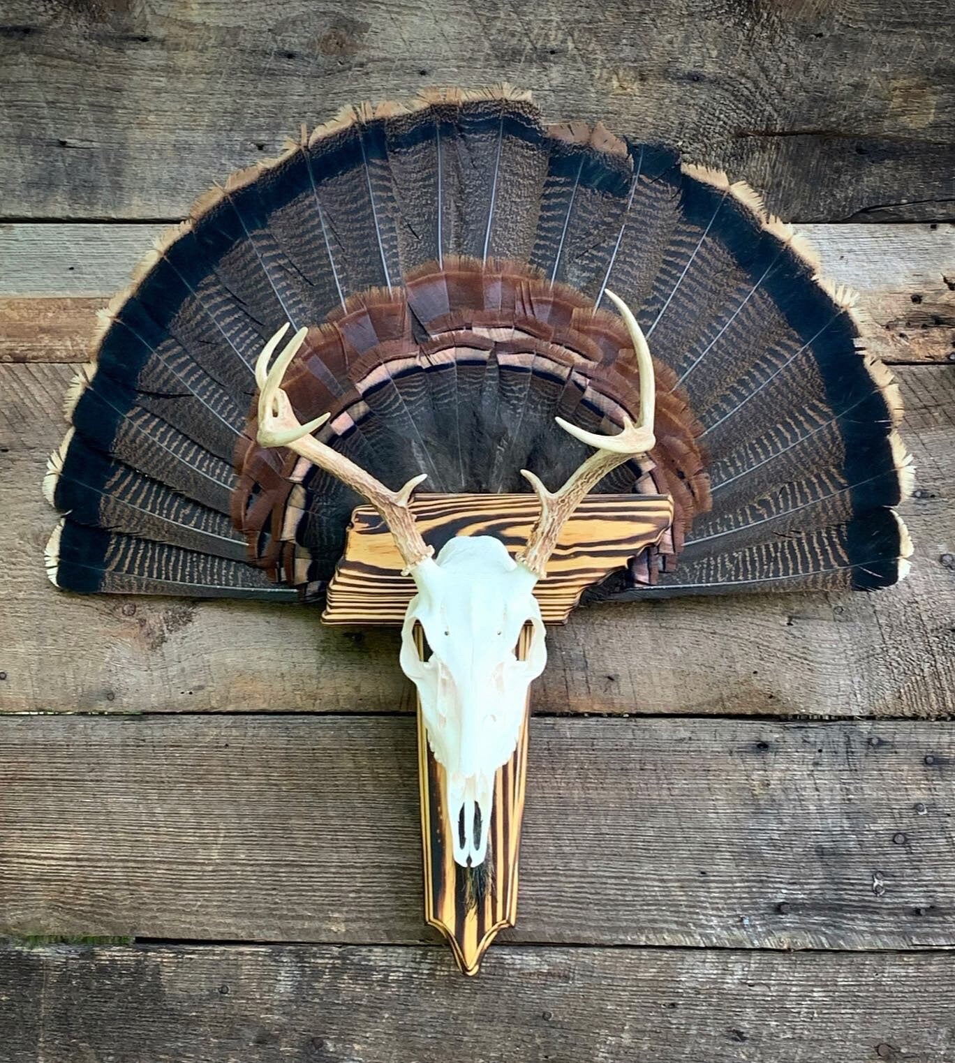 State Plaque with Skull Hanger