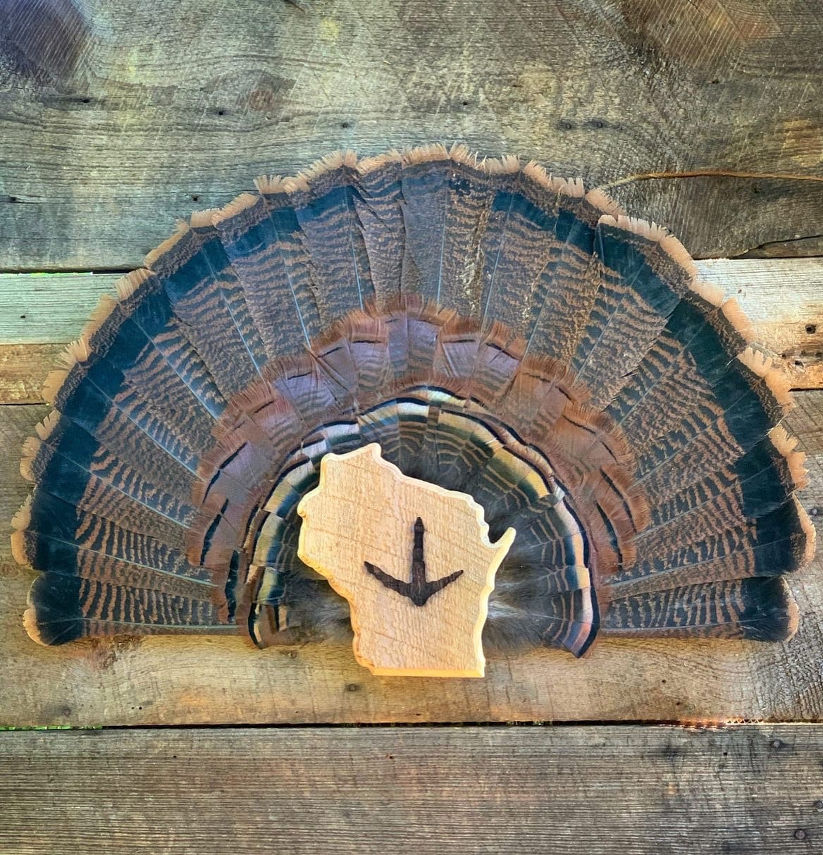 Wisconsin Turkey Fan Plaque