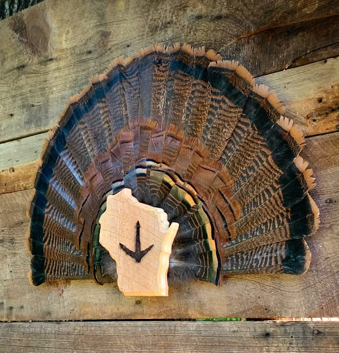 Wisconsin Turkey Fan Plaque