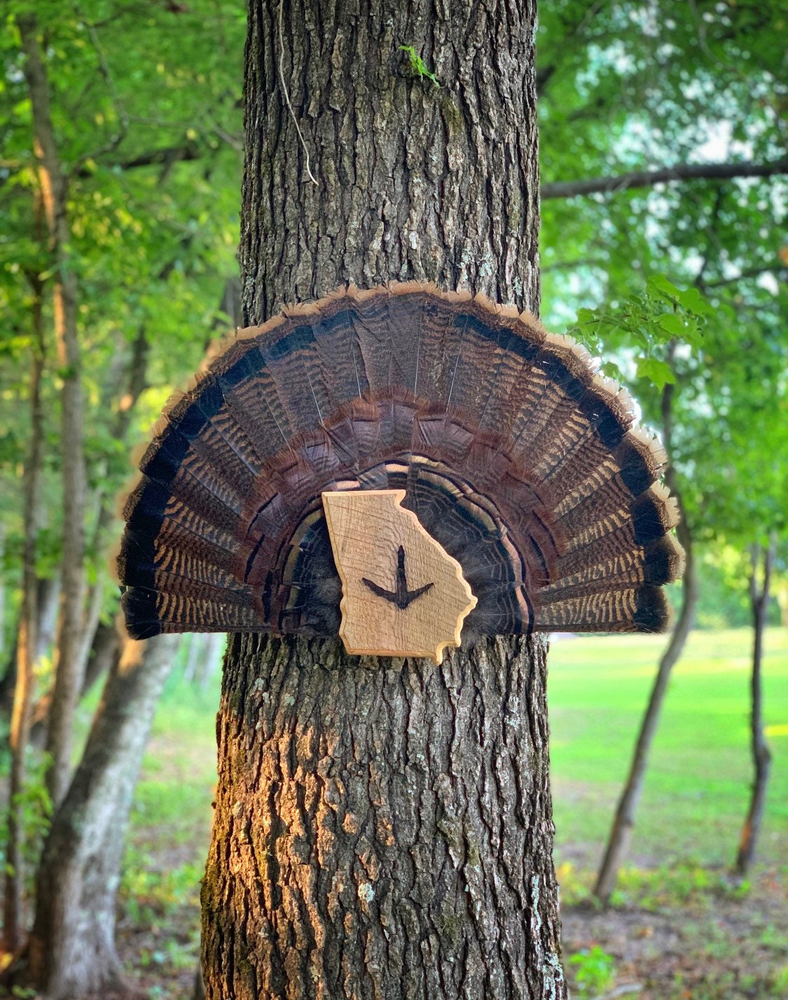 Georgia Turkey Fan Plaque