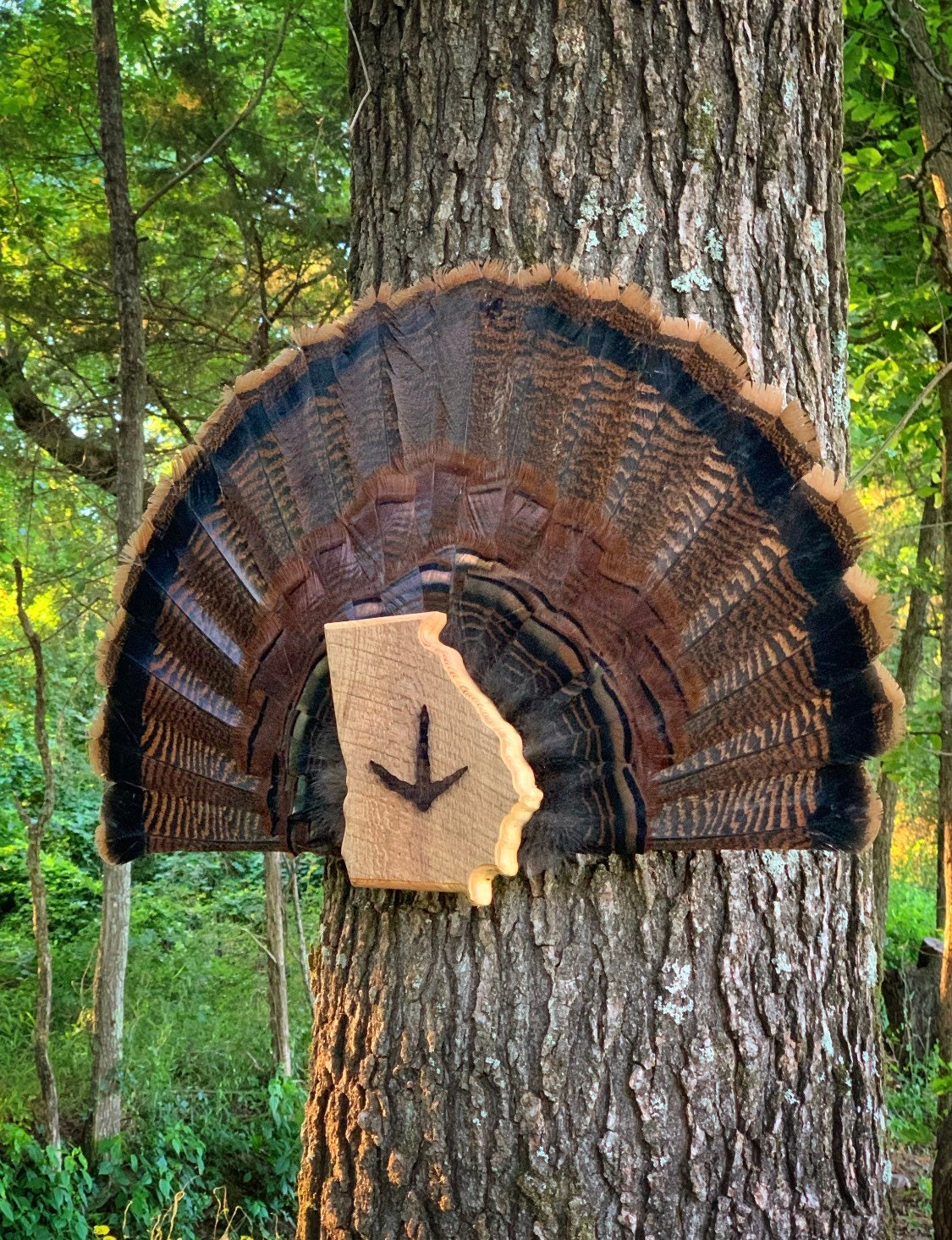 Georgia Turkey Fan Plaque