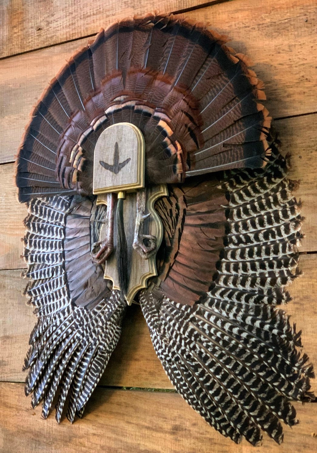 Fan and Wing Mount Plaque