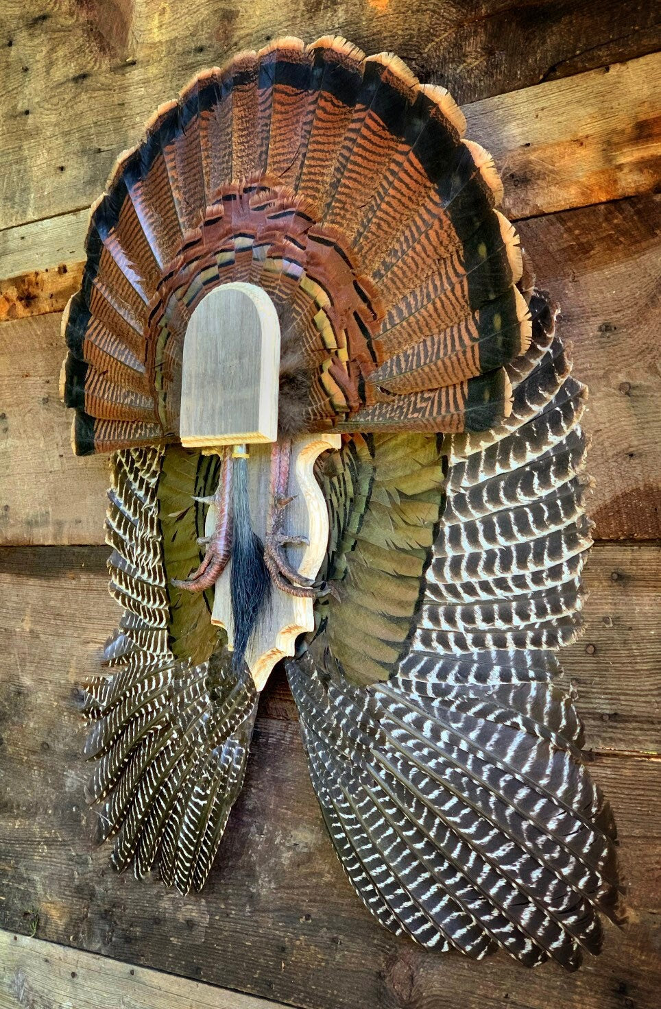 Fan and Wing Mount Plaque