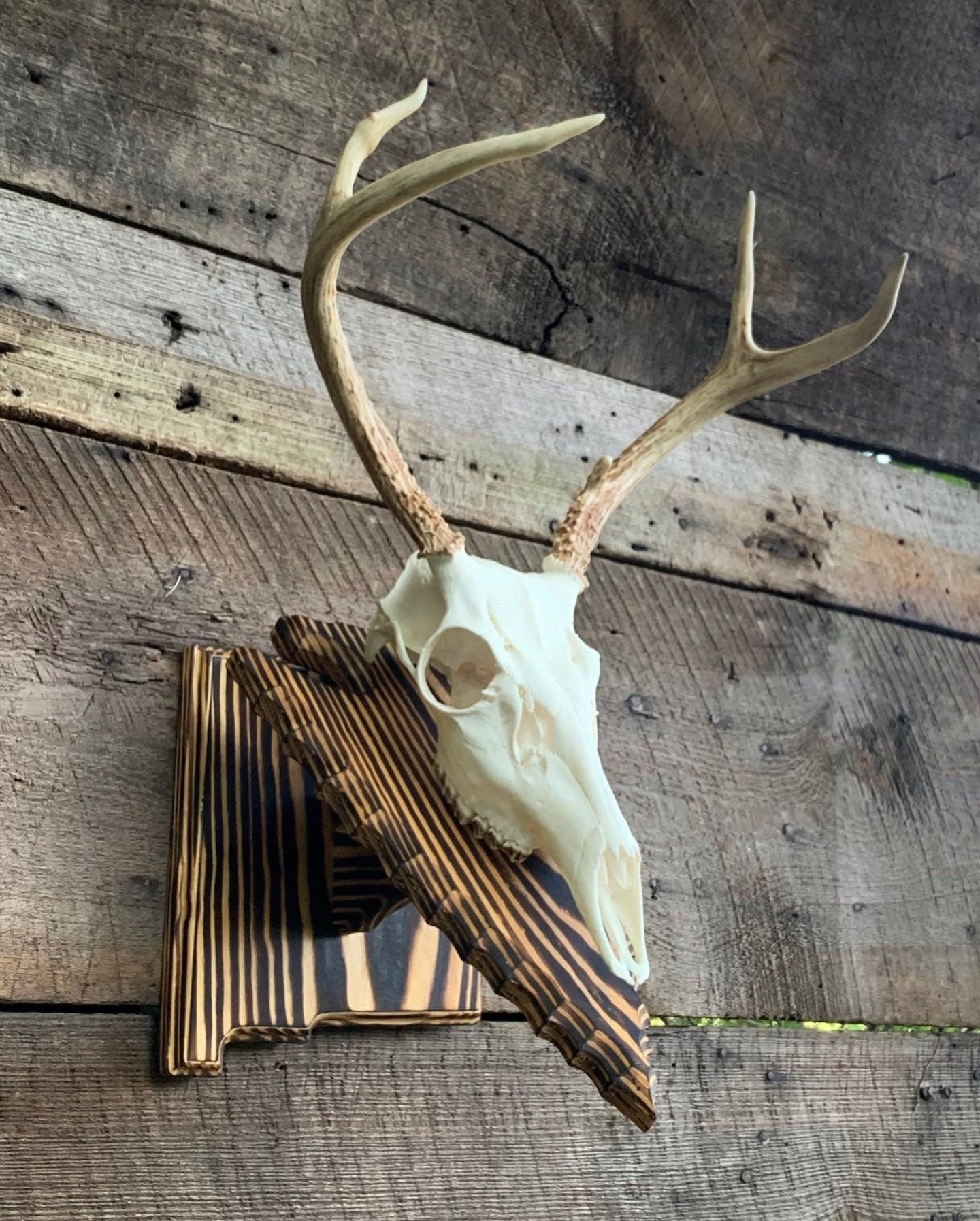 New Mexico Wall Pedestal