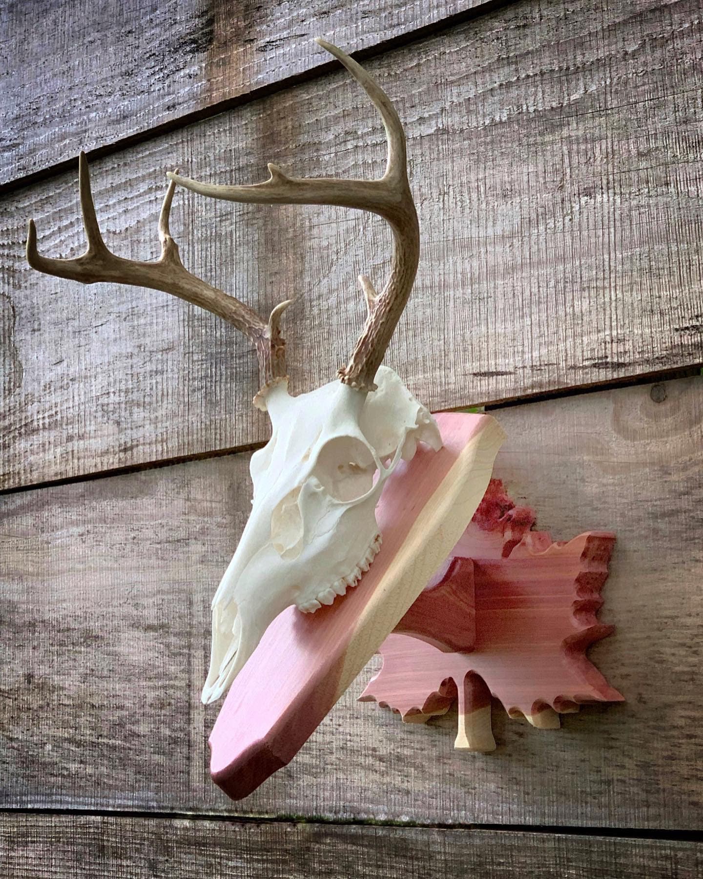 Sycamore Leaf Pedestal