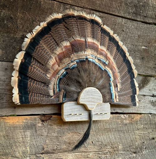 6 Beard Holder